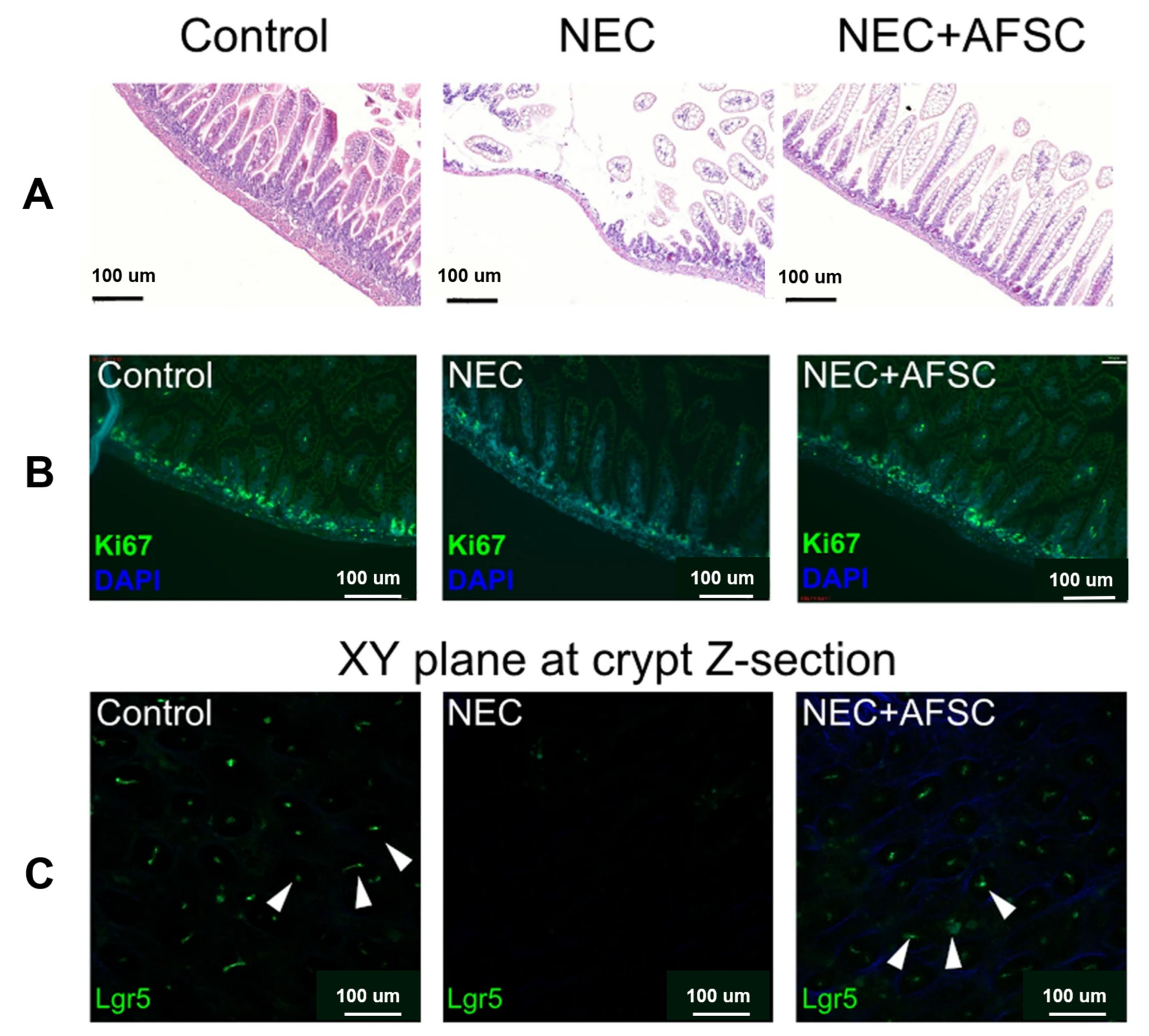 Jpm 13 01281 g013 Jpm 13 01281 g013