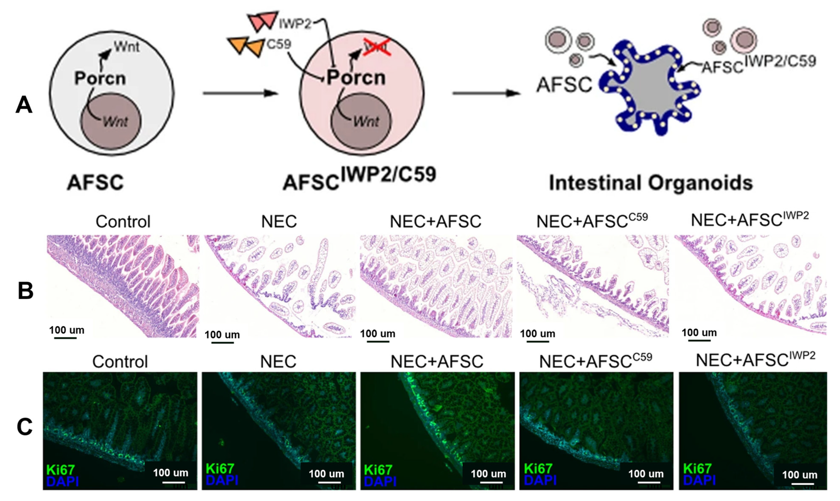 Jpm 13 01281 g014 Jpm 13 01281 g014