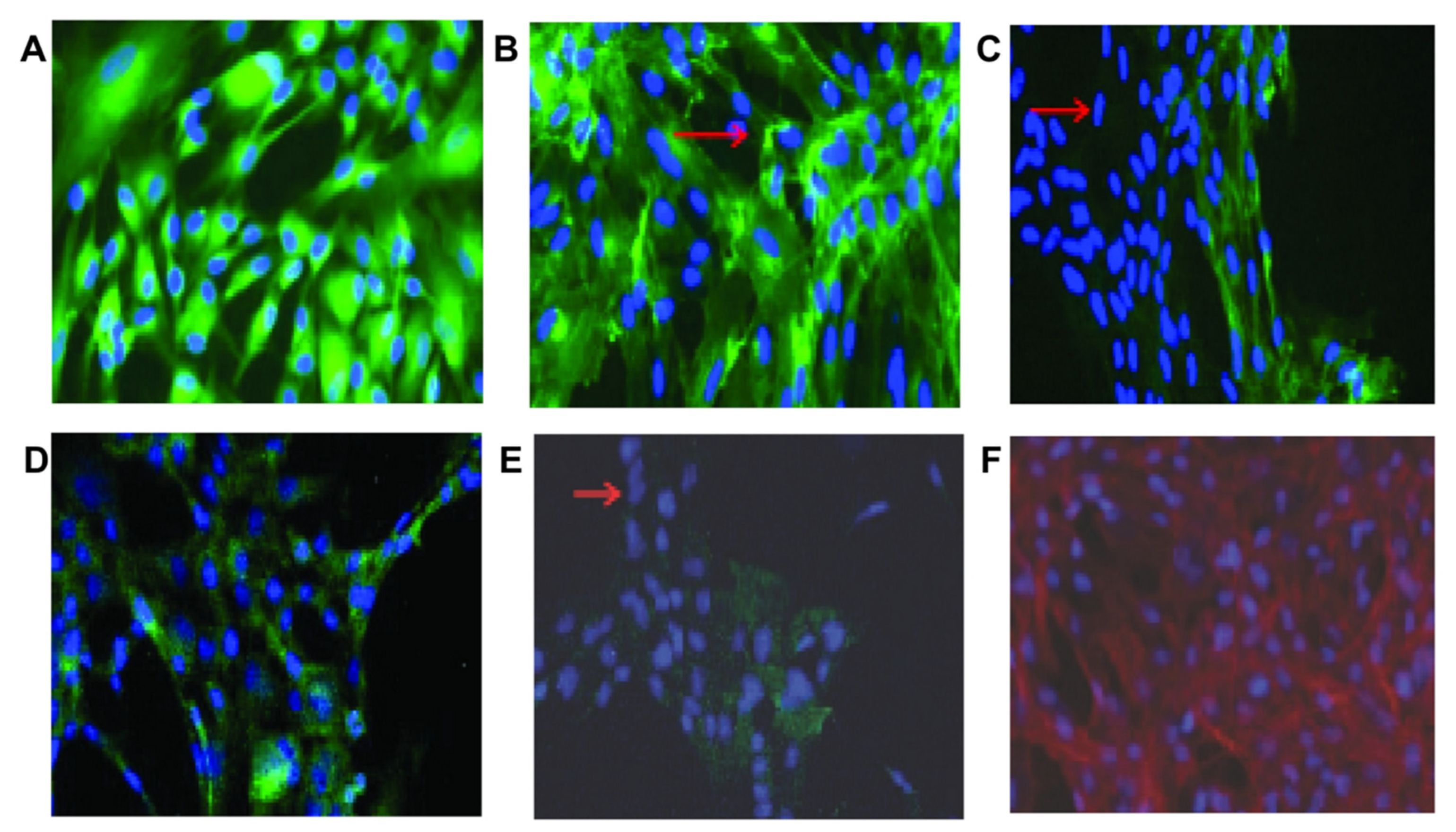 Jpm 13 01281 g016 Jpm 13 01281 g016