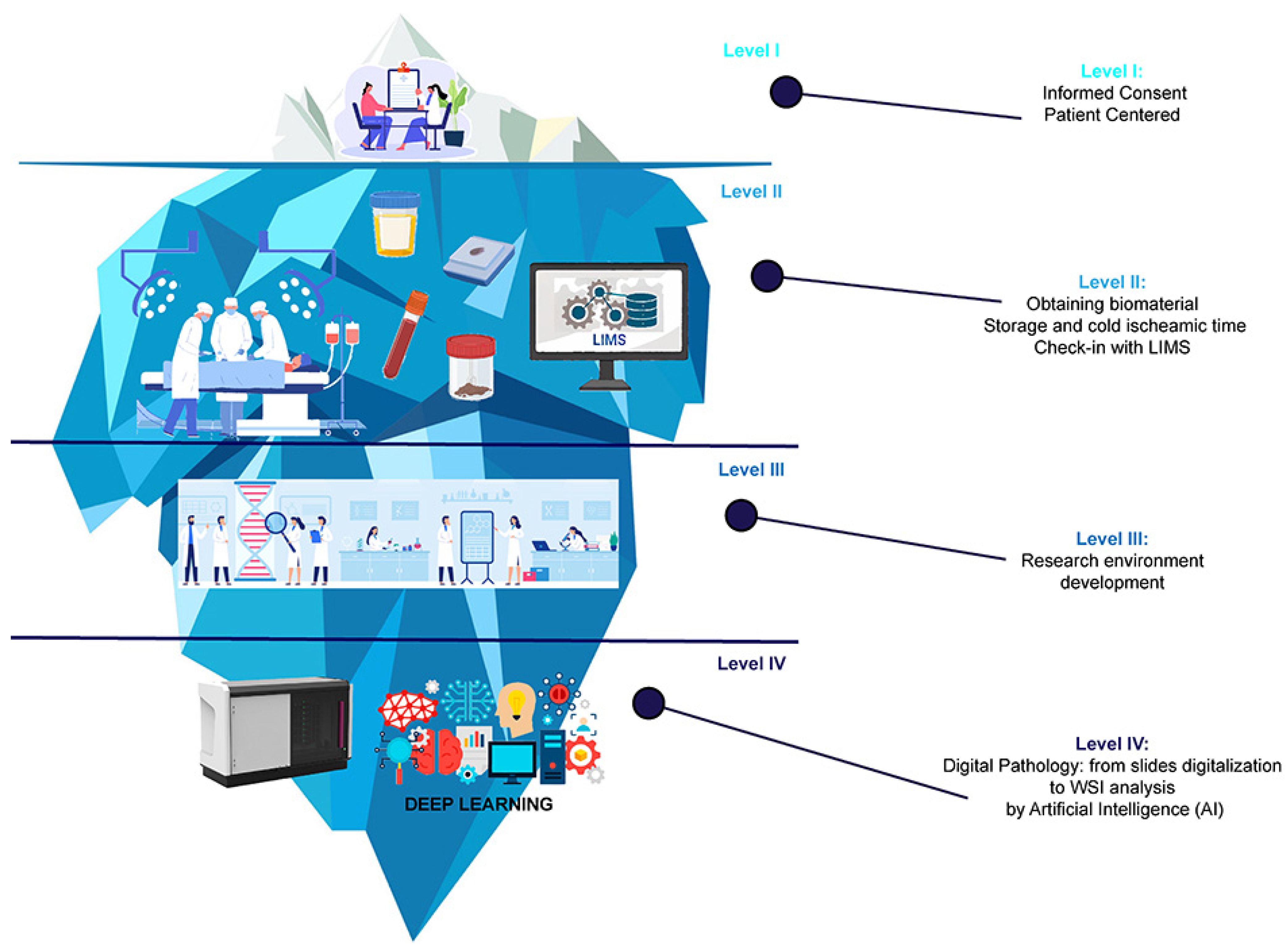 Jpm 13 01390 g001 Jpm 13 01390 g001
