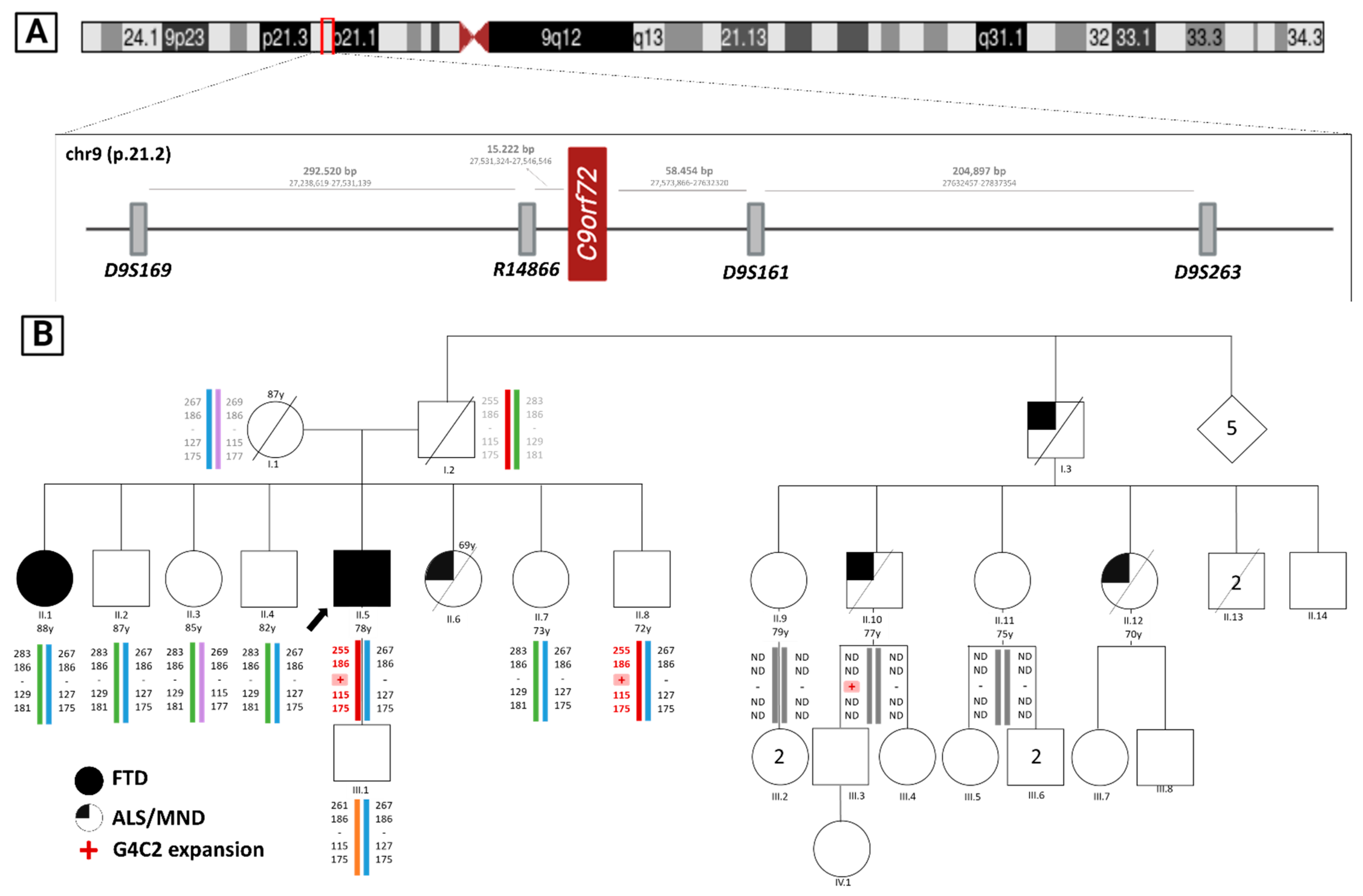 C9ORF72 Gene GGGGCC Hexanucleotide Expansion: A High