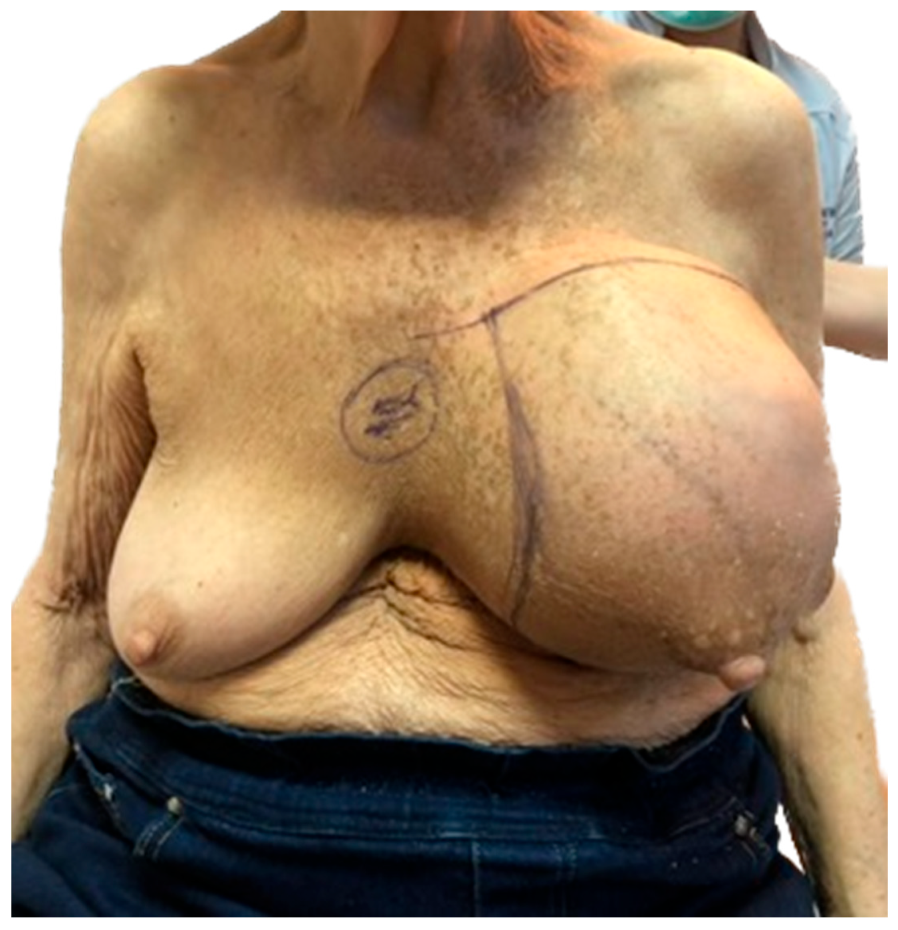 Jpm 13 01451 g001 Jpm 13 01451 g001