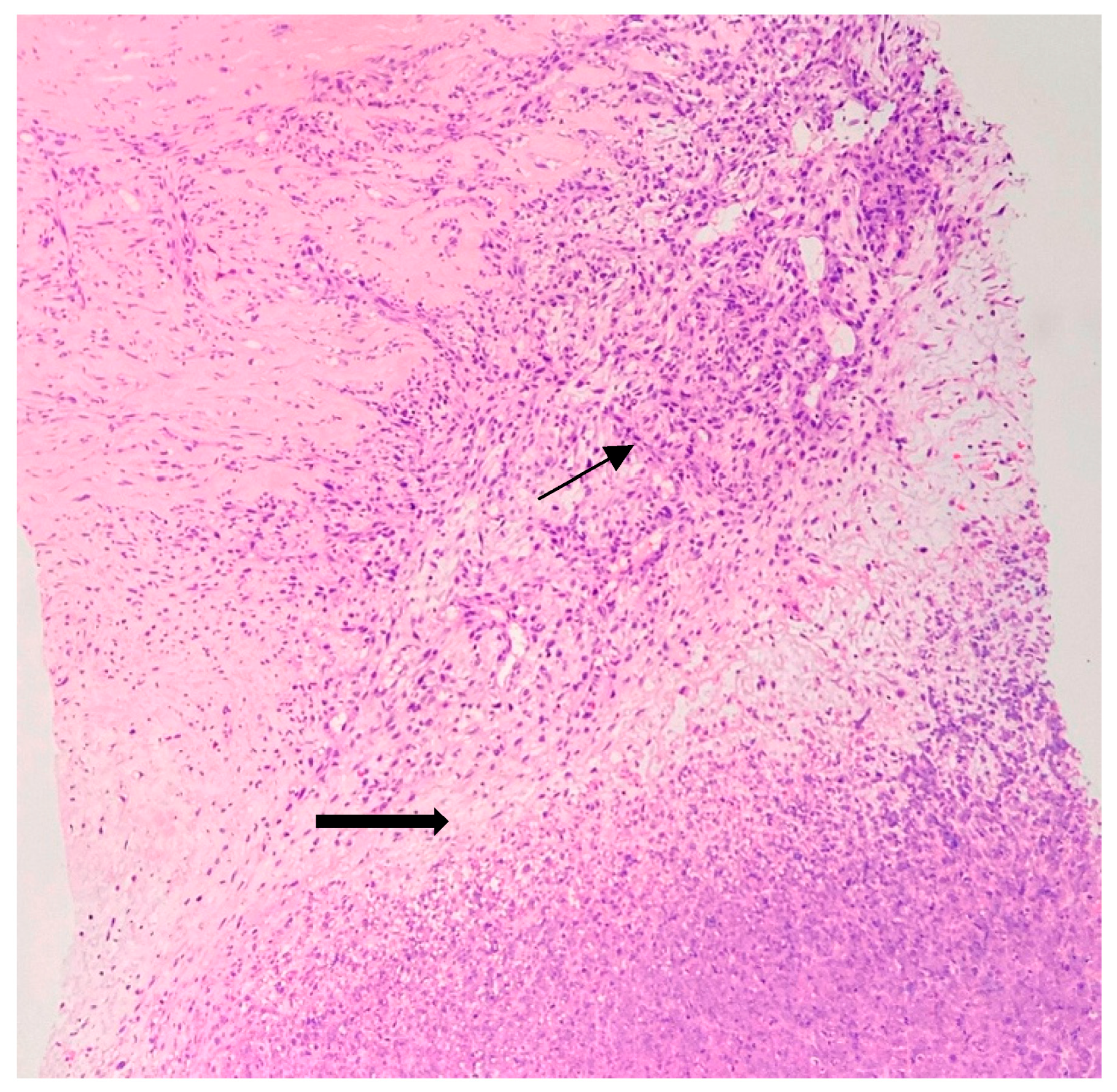 Jpm 13 01451 g003 Jpm 13 01451 g003