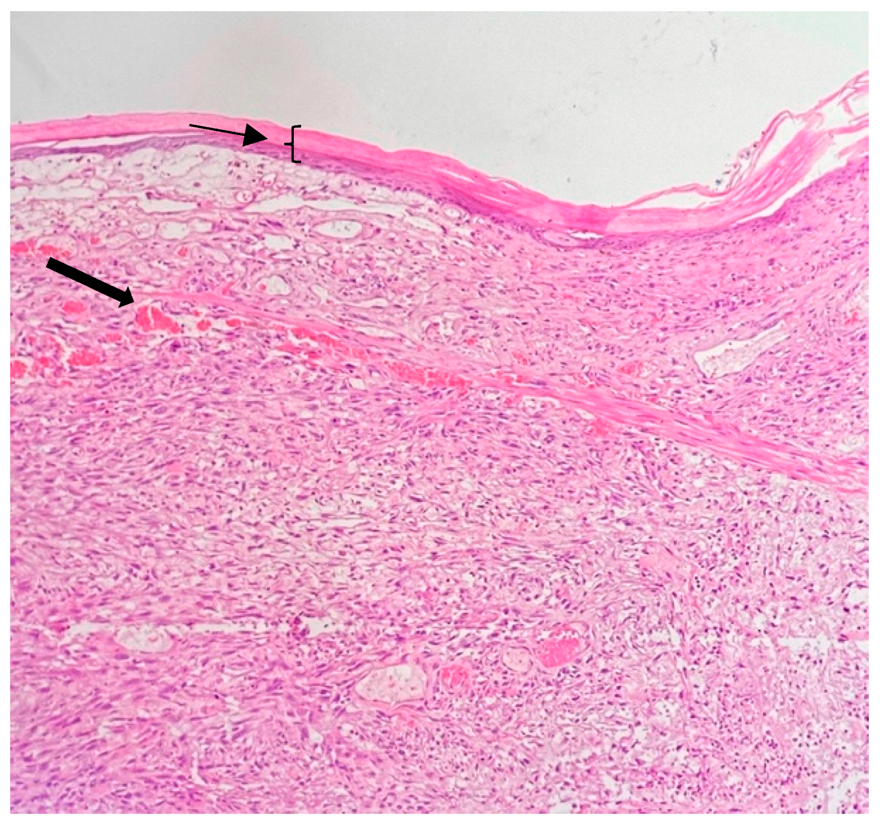 Jpm 13 01451 g012 Jpm 13 01451 g012