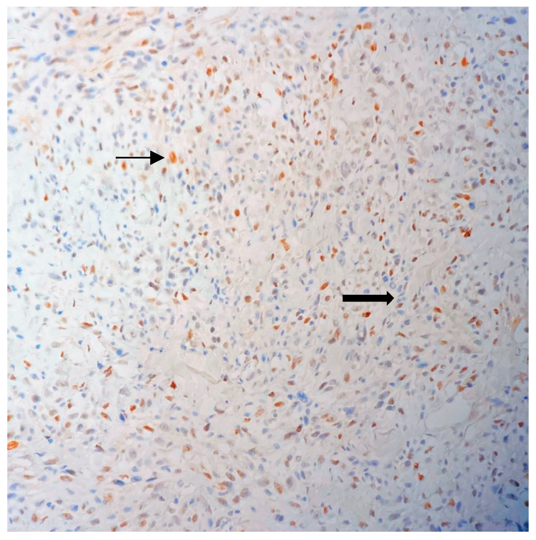 Jpm 13 01451 g013 Jpm 13 01451 g013