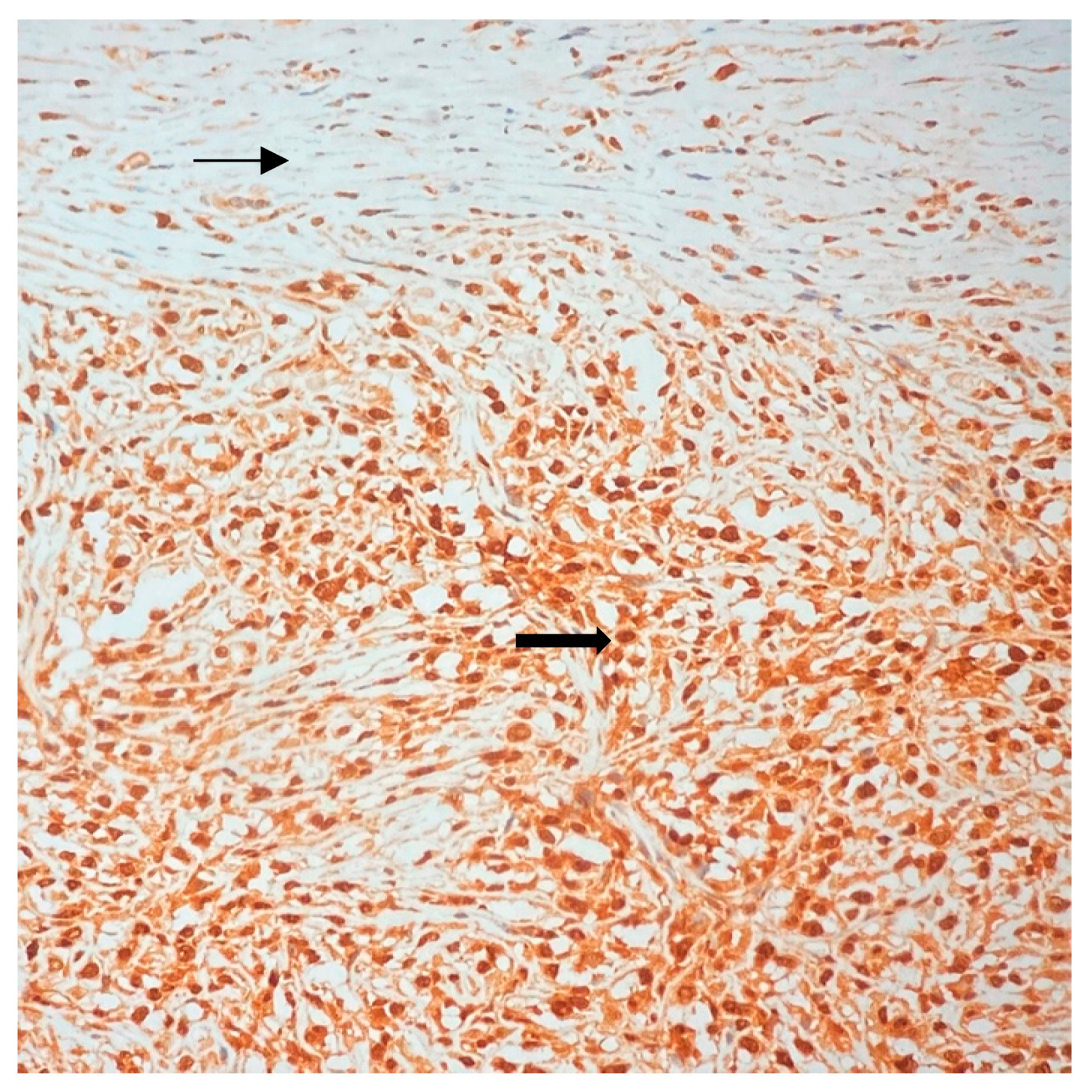 Jpm 13 01451 g014 Jpm 13 01451 g014