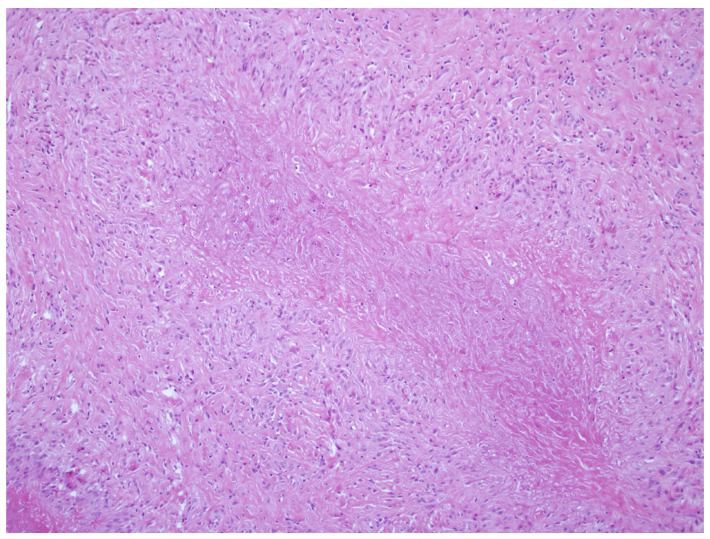 Jpm 13 01479 g002 Jpm 13 01479 g002