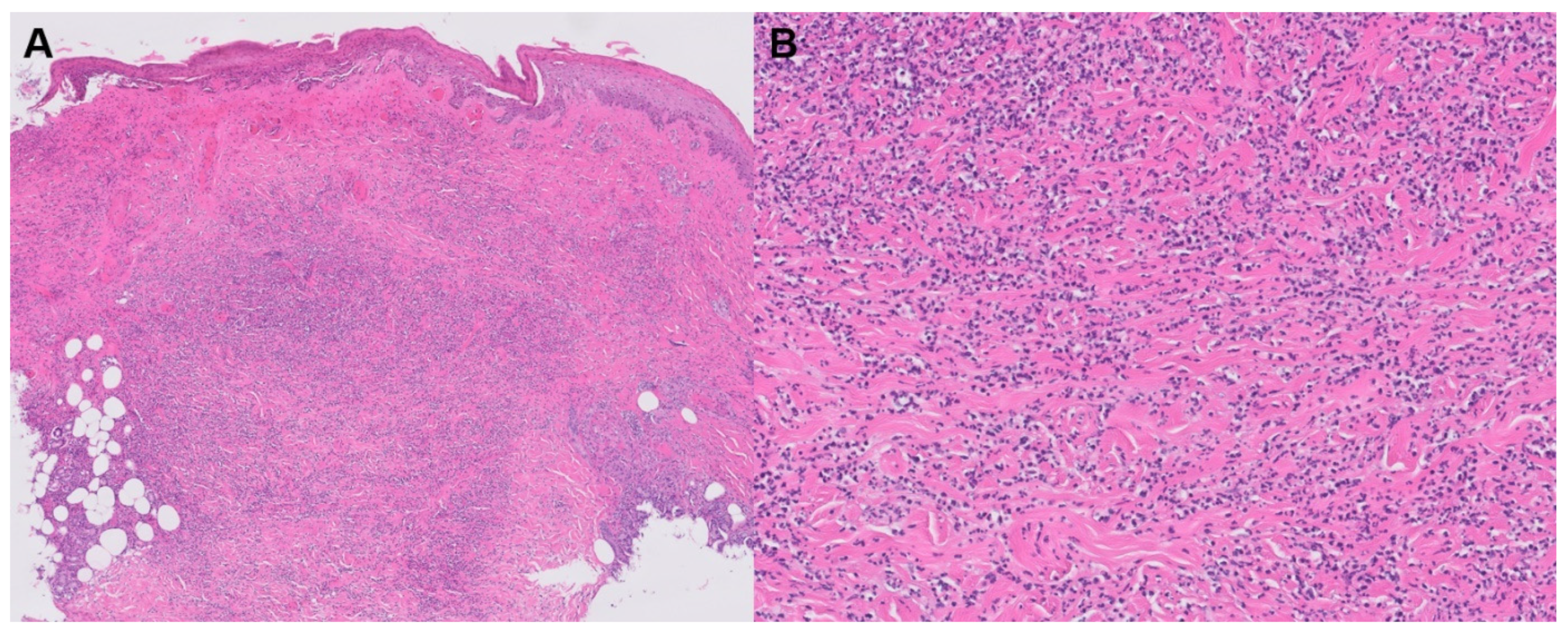 Jpm 13 01479 g006 Jpm 13 01479 g006