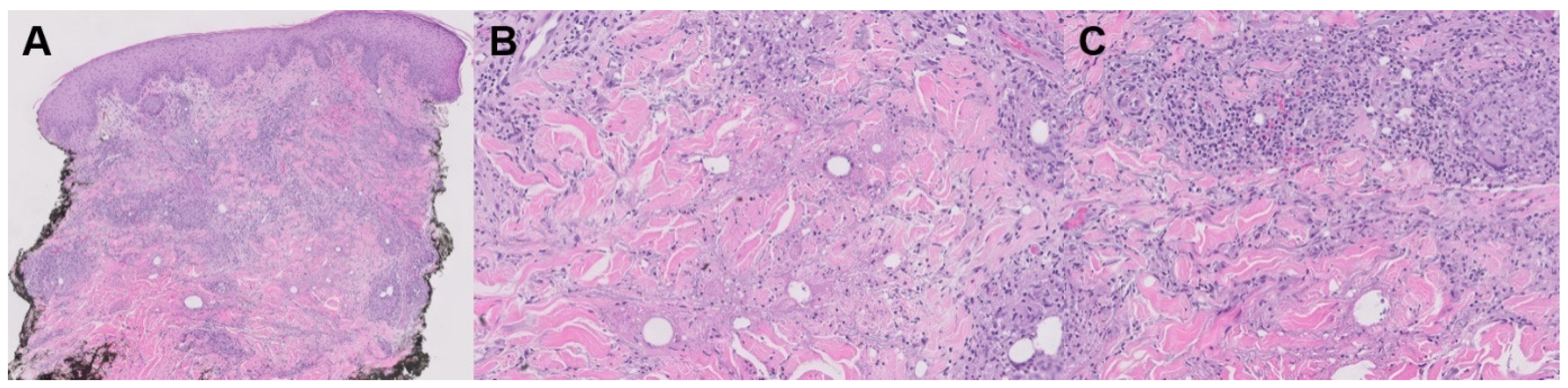 Jpm 13 01479 g008 Jpm 13 01479 g008