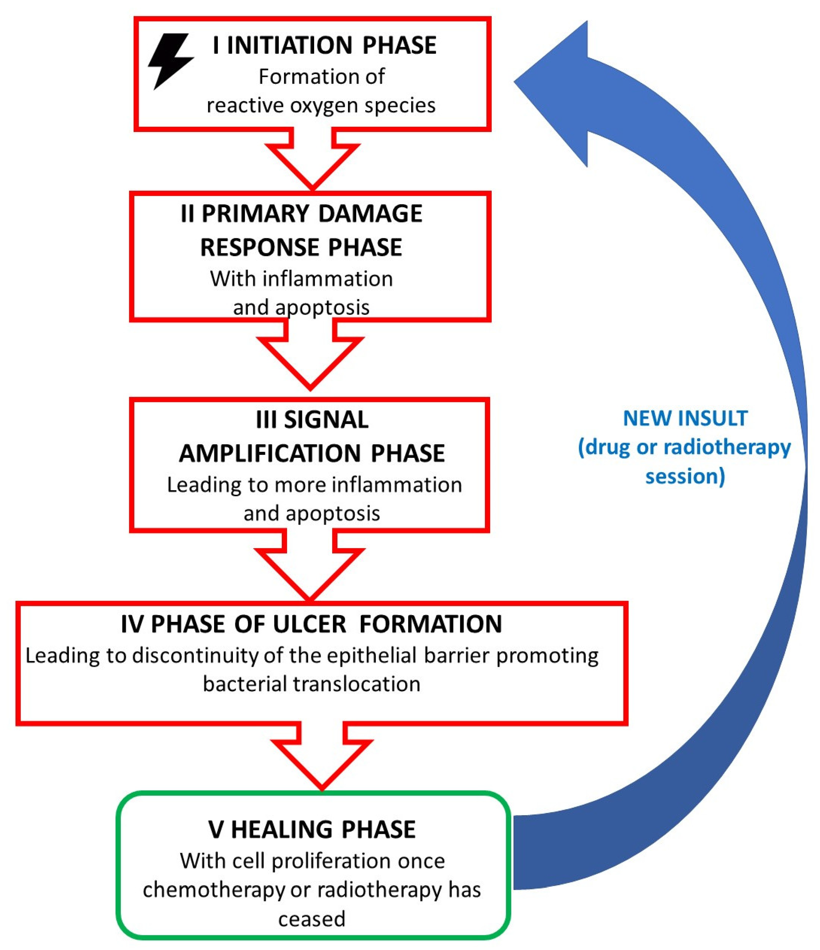 Jpm 13 01487 g001 Jpm 13 01487 g001