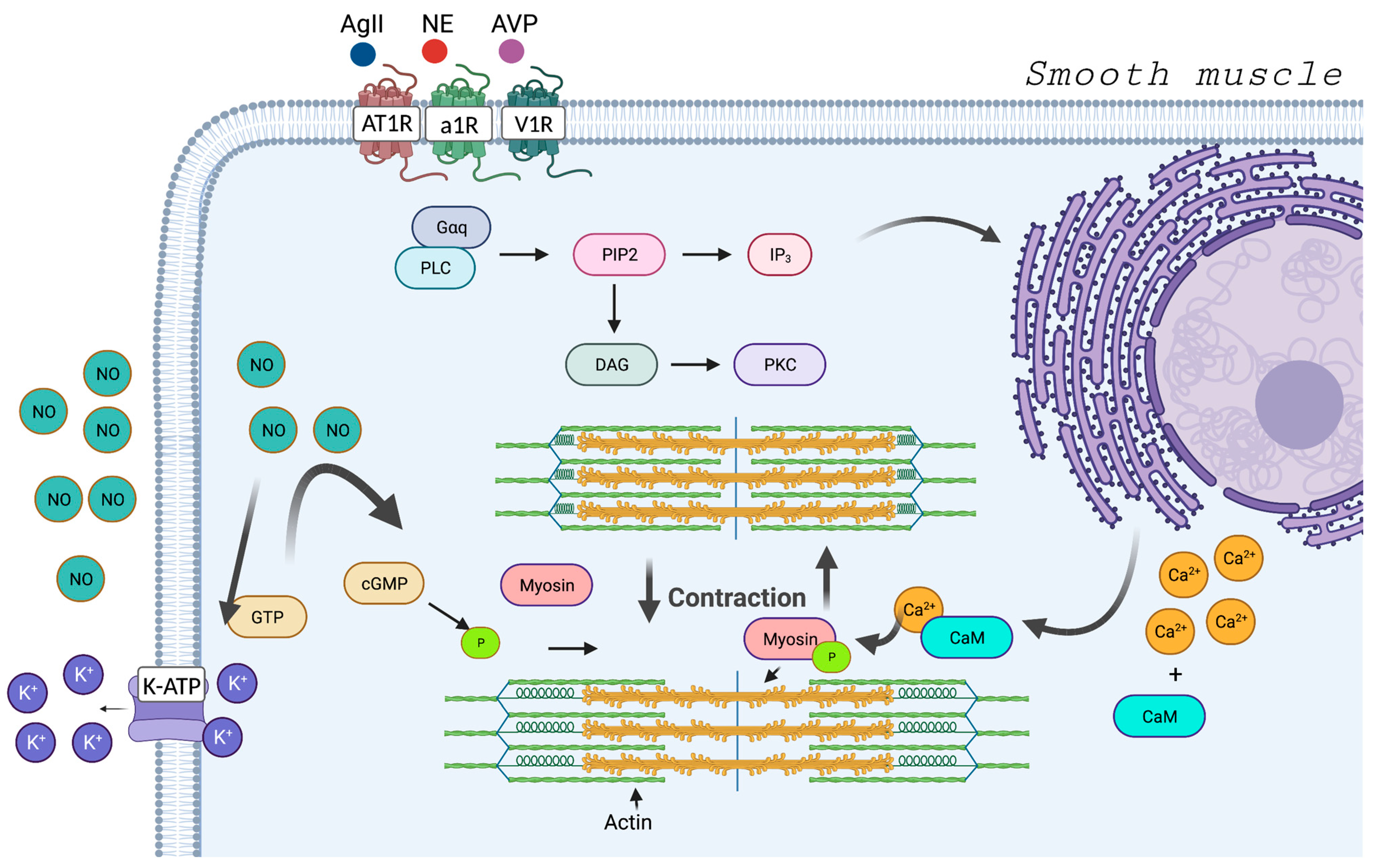 Jpm 13 01506 g002 Jpm 13 01506 g002