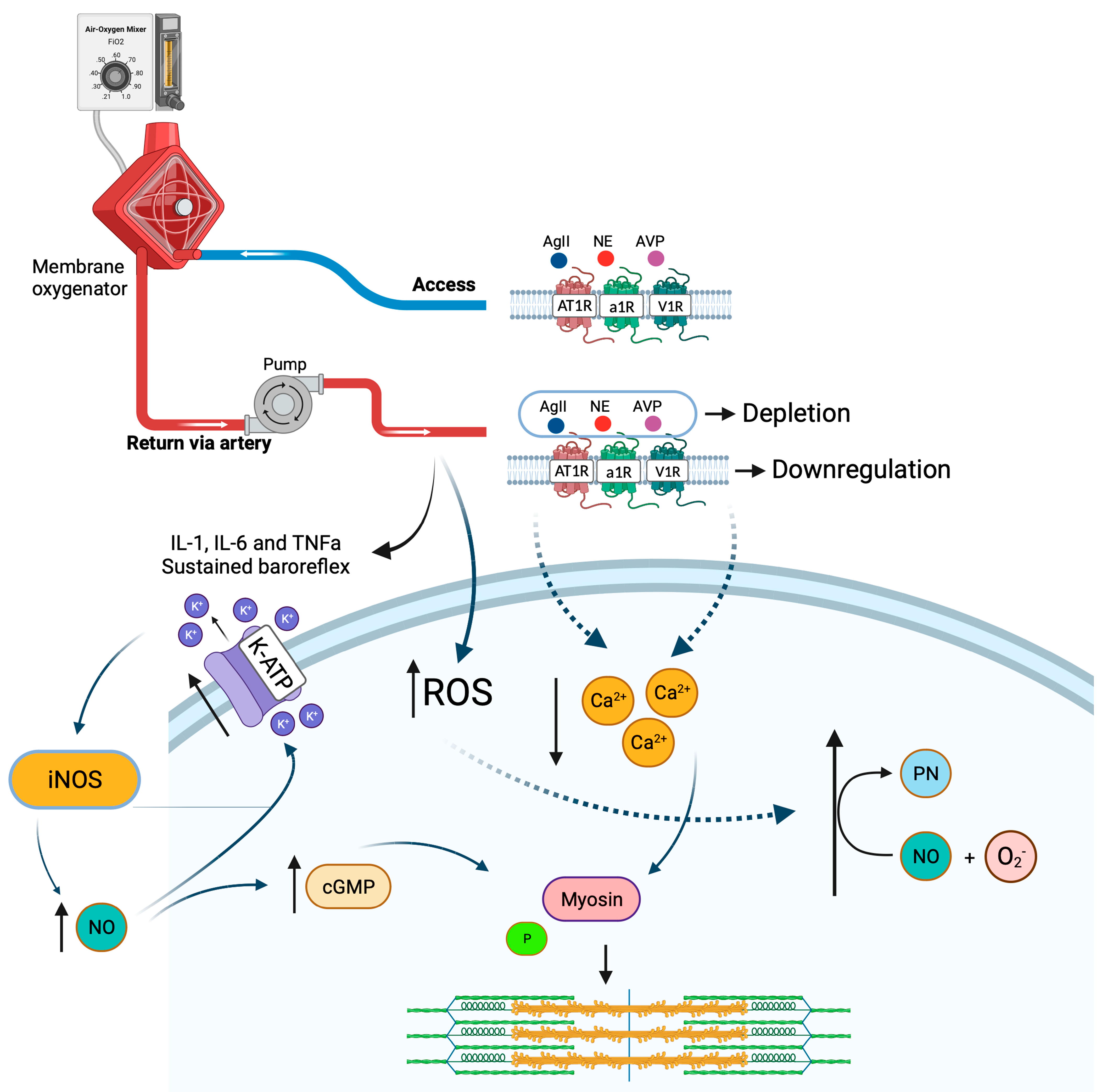 Jpm 13 01506 g003 Jpm 13 01506 g003
