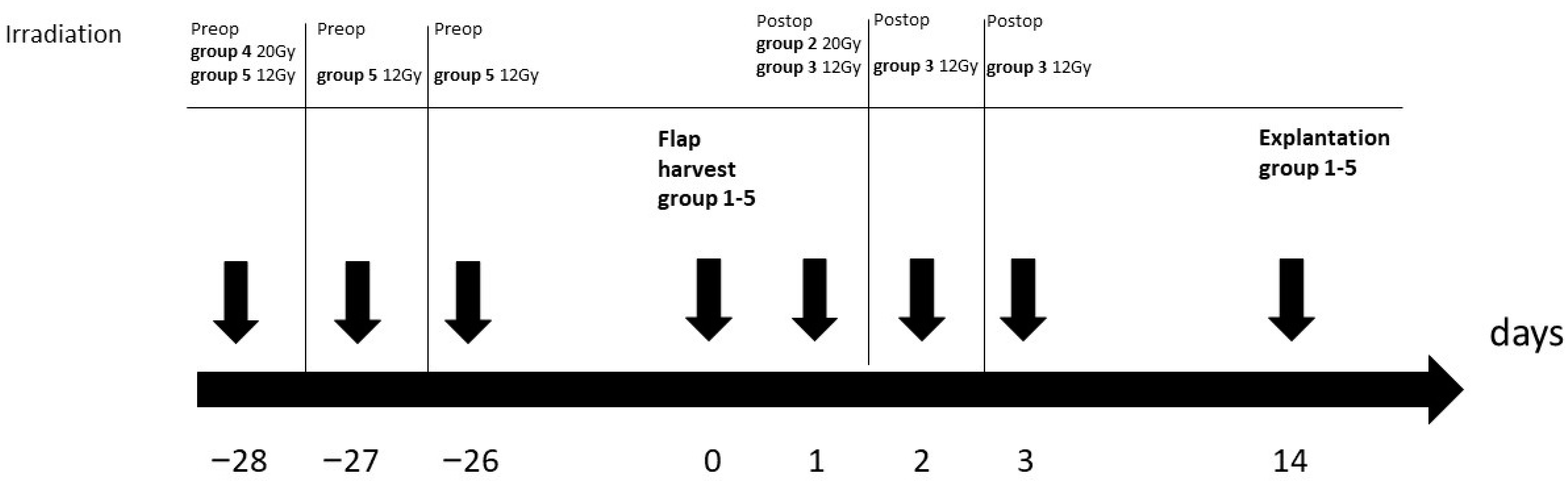 Jpm 13 01514 g001 Jpm 13 01514 g001