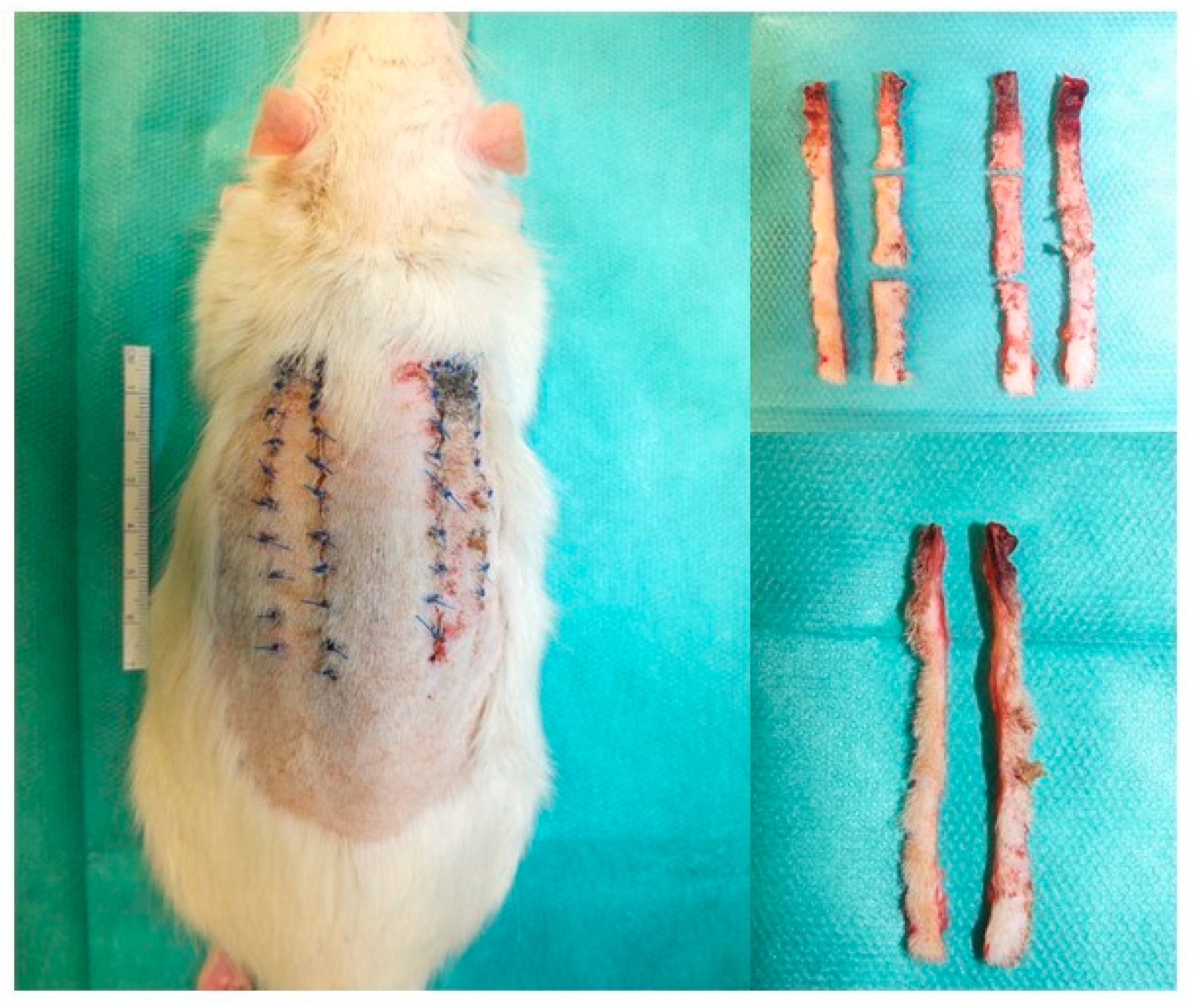 Jpm 13 01514 g002 Jpm 13 01514 g002