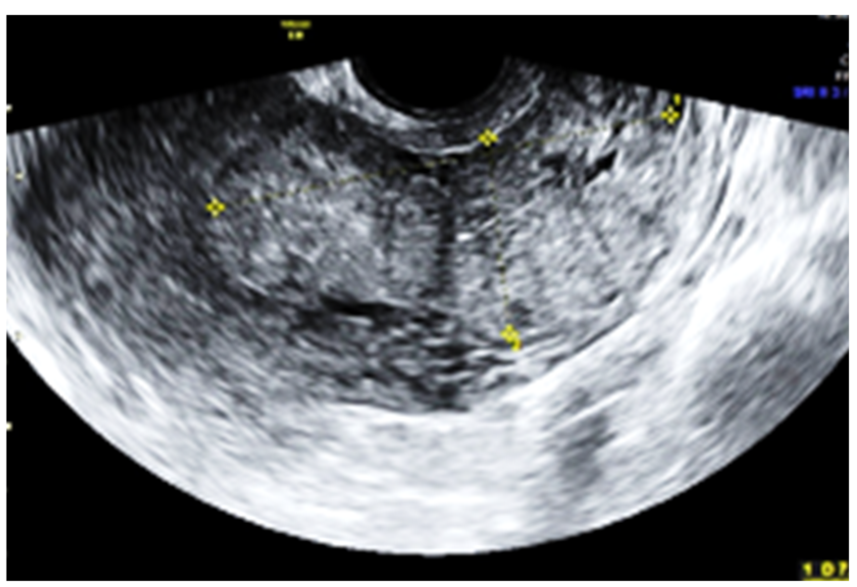 Jpm 13 01563 g002 Jpm 13 01563 g002