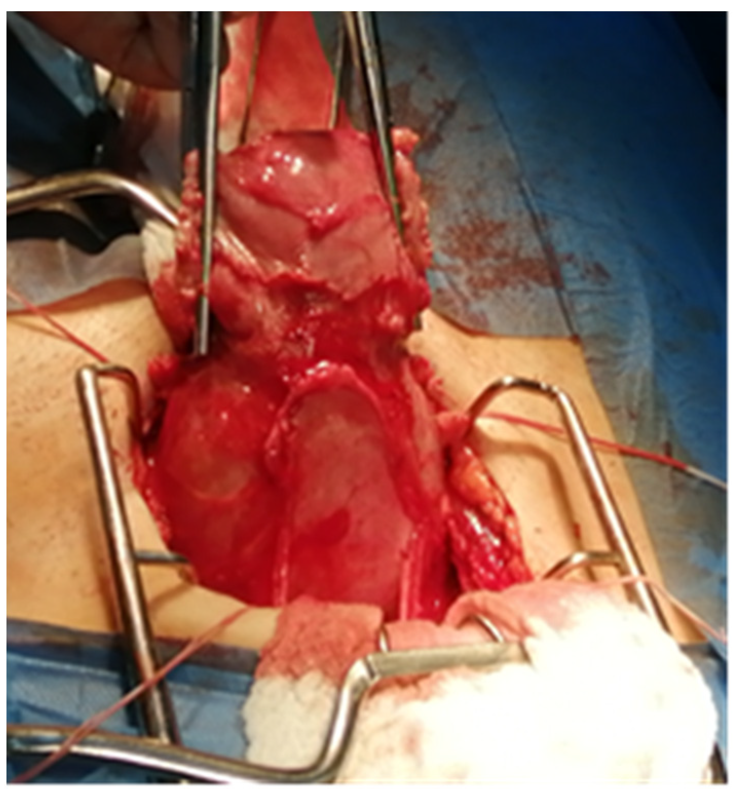 Jpm 13 01563 g005 Jpm 13 01563 g005