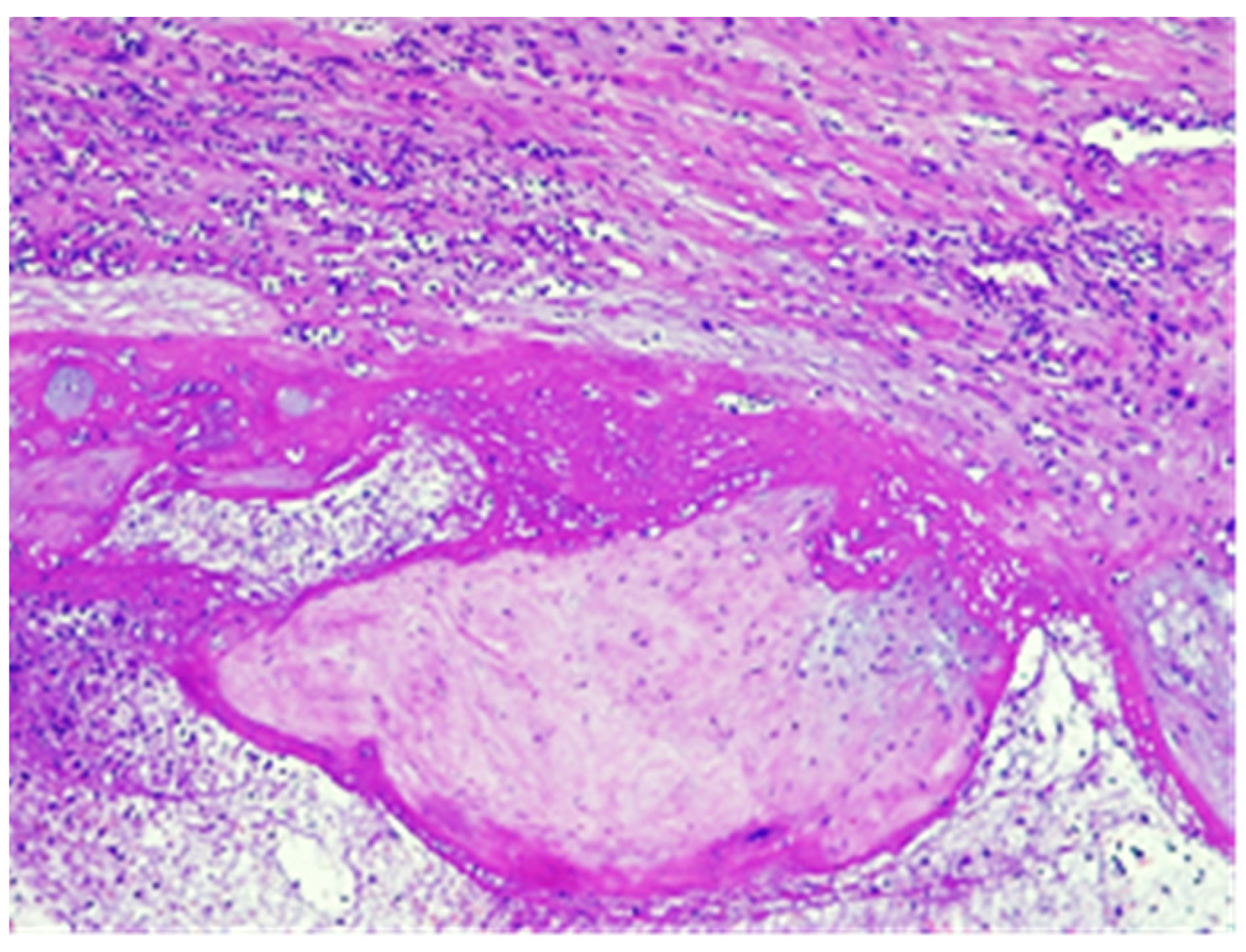 Jpm 13 01563 g007 Jpm 13 01563 g007