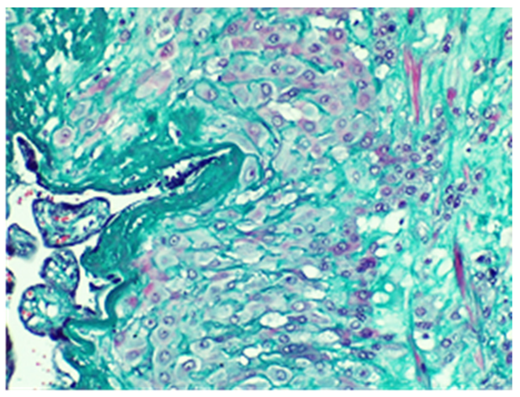 Jpm 13 01563 g008 Jpm 13 01563 g008