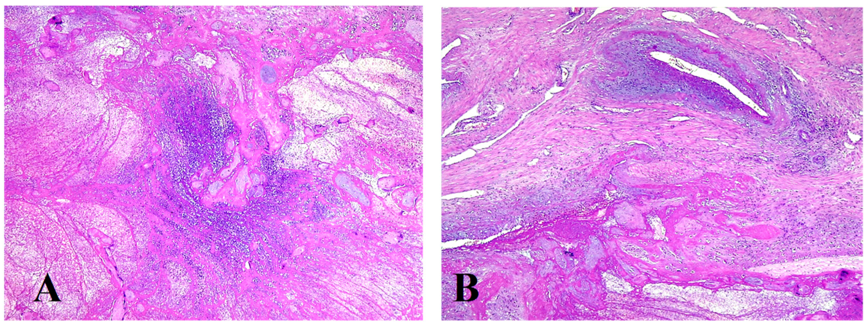 Jpm 13 01563 g010 Jpm 13 01563 g010