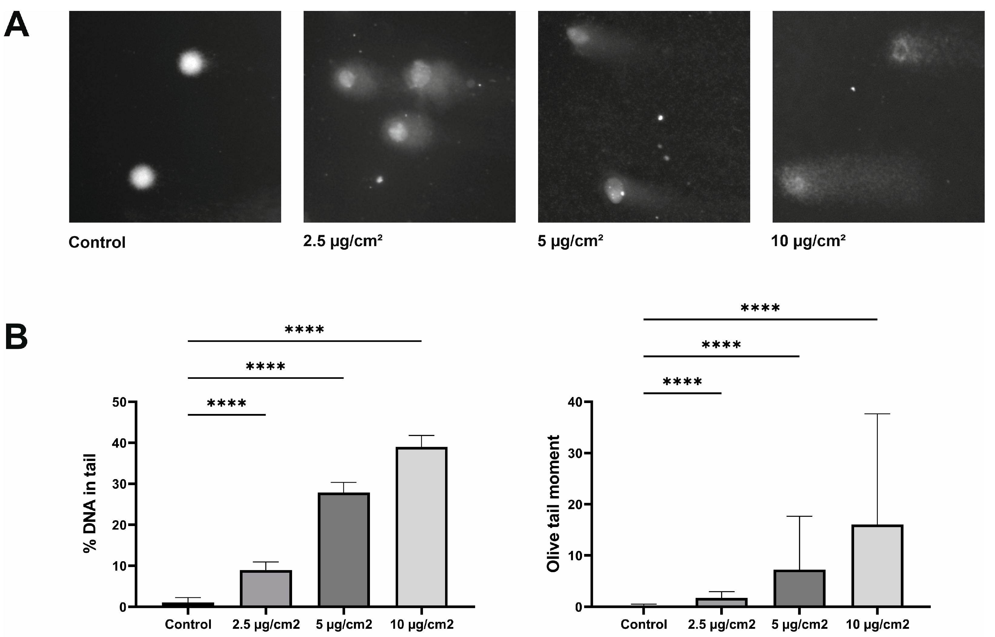 Jpm 13 01599 g003 Jpm 13 01599 g003