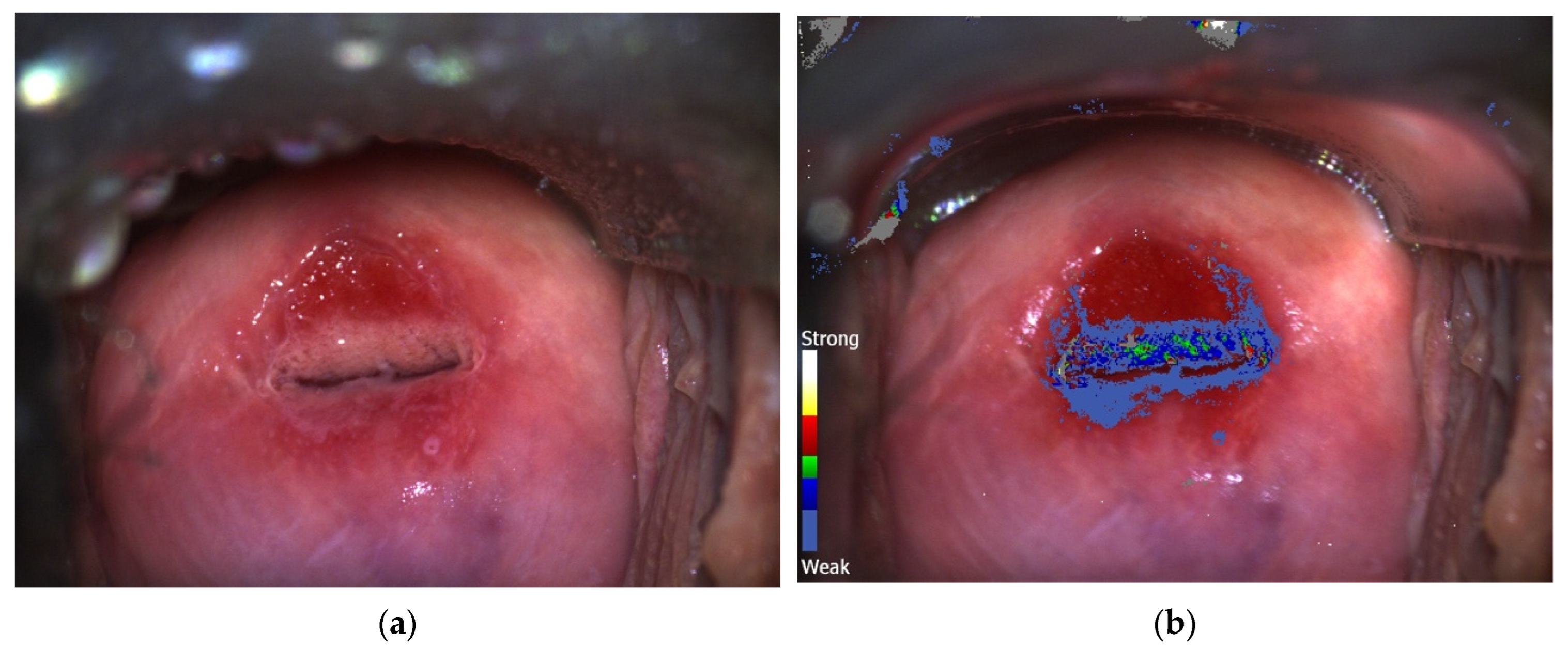 Jpm 13 01605 g002 Jpm 13 01605 g002