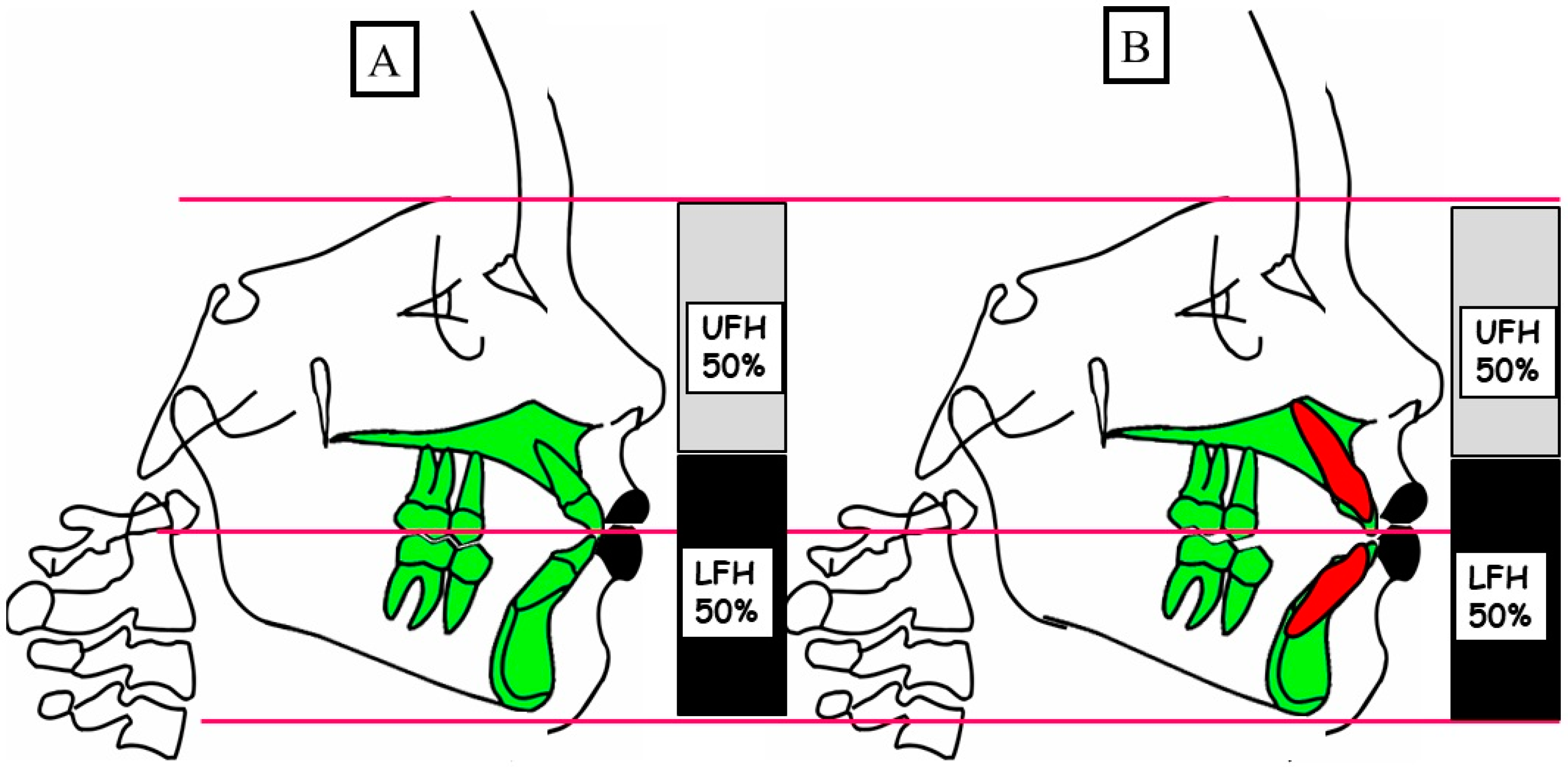 Jpm 13 01617 g004 Jpm 13 01617 g004
