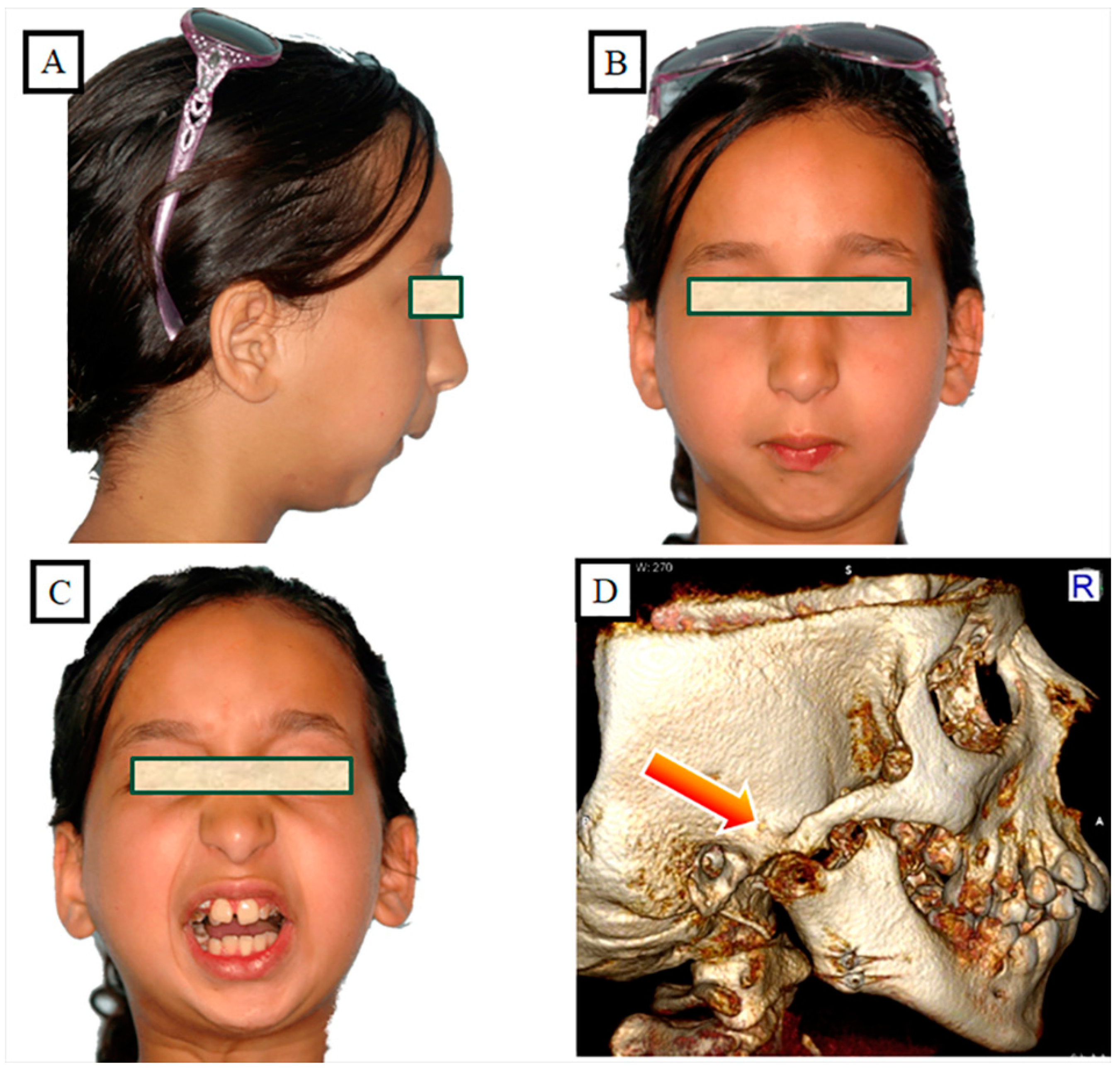 Jpm 13 01617 g012 Jpm 13 01617 g012