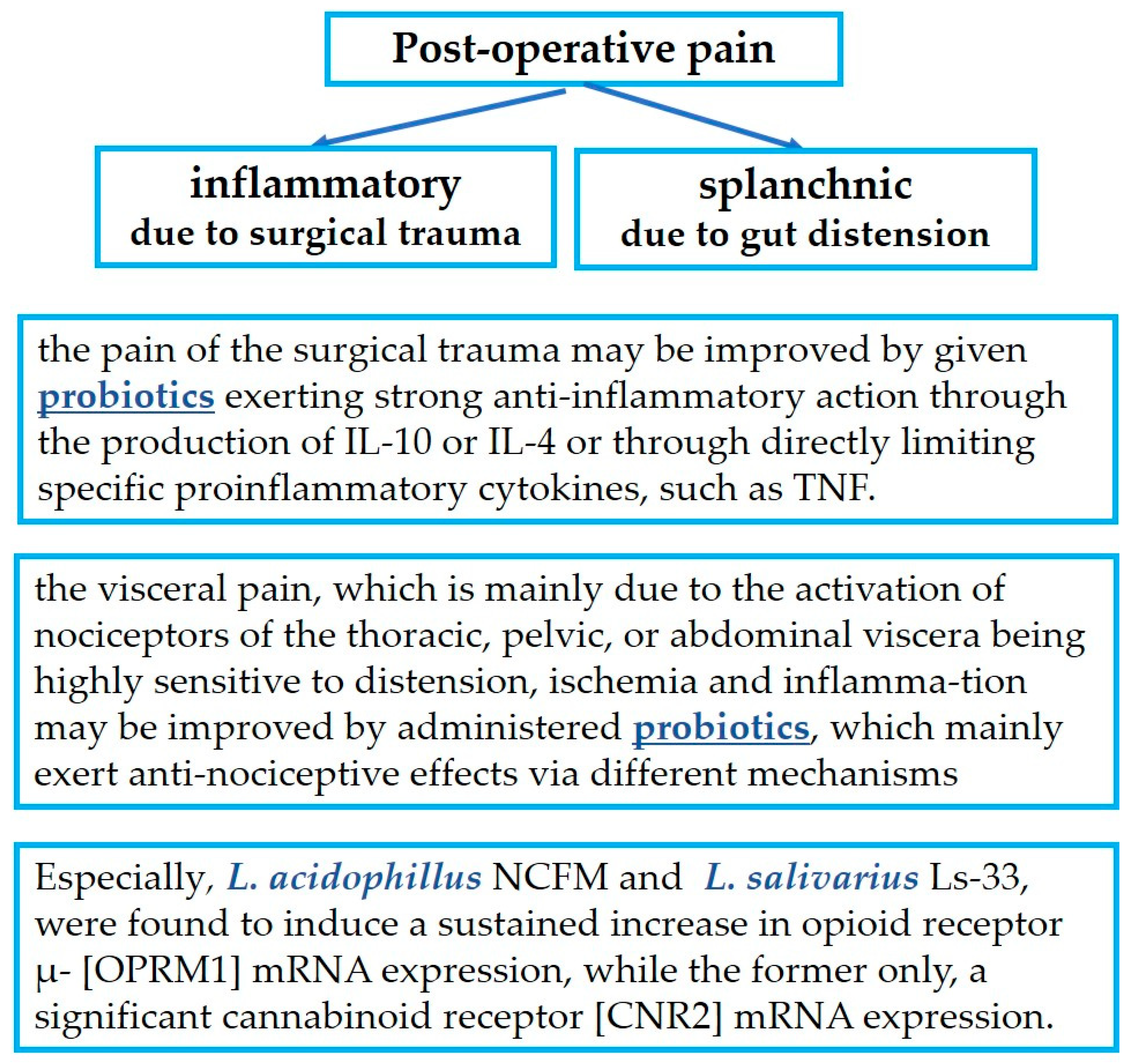 Jpm 13 01645 g003 Jpm 13 01645 g003