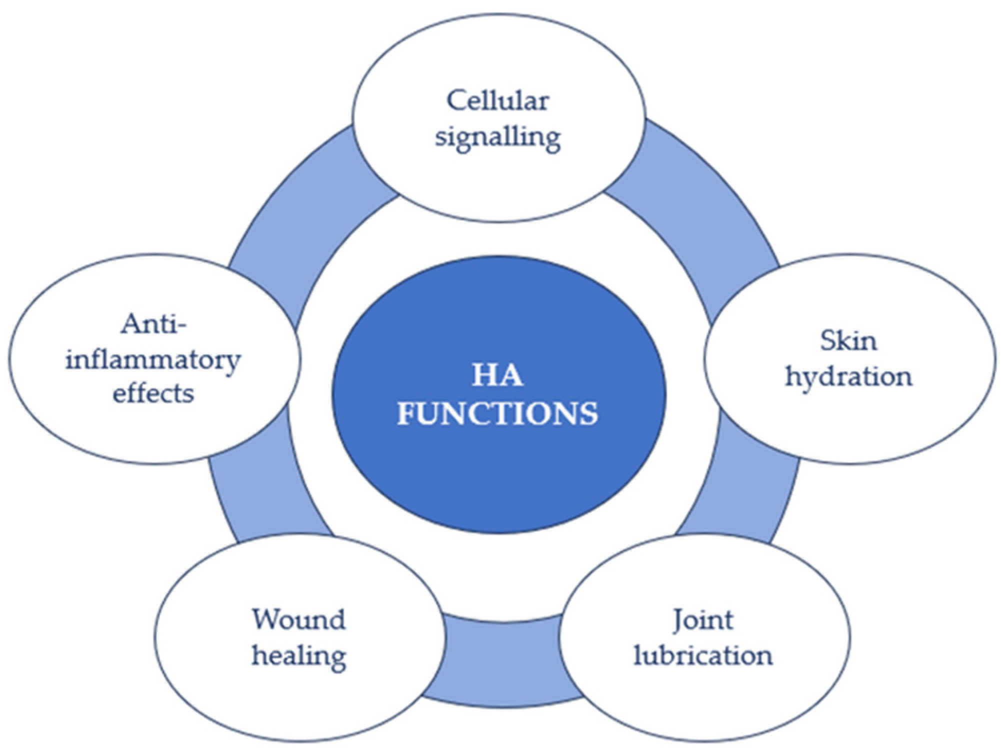 Jpm 13 01647 g003 Jpm 13 01647 g003