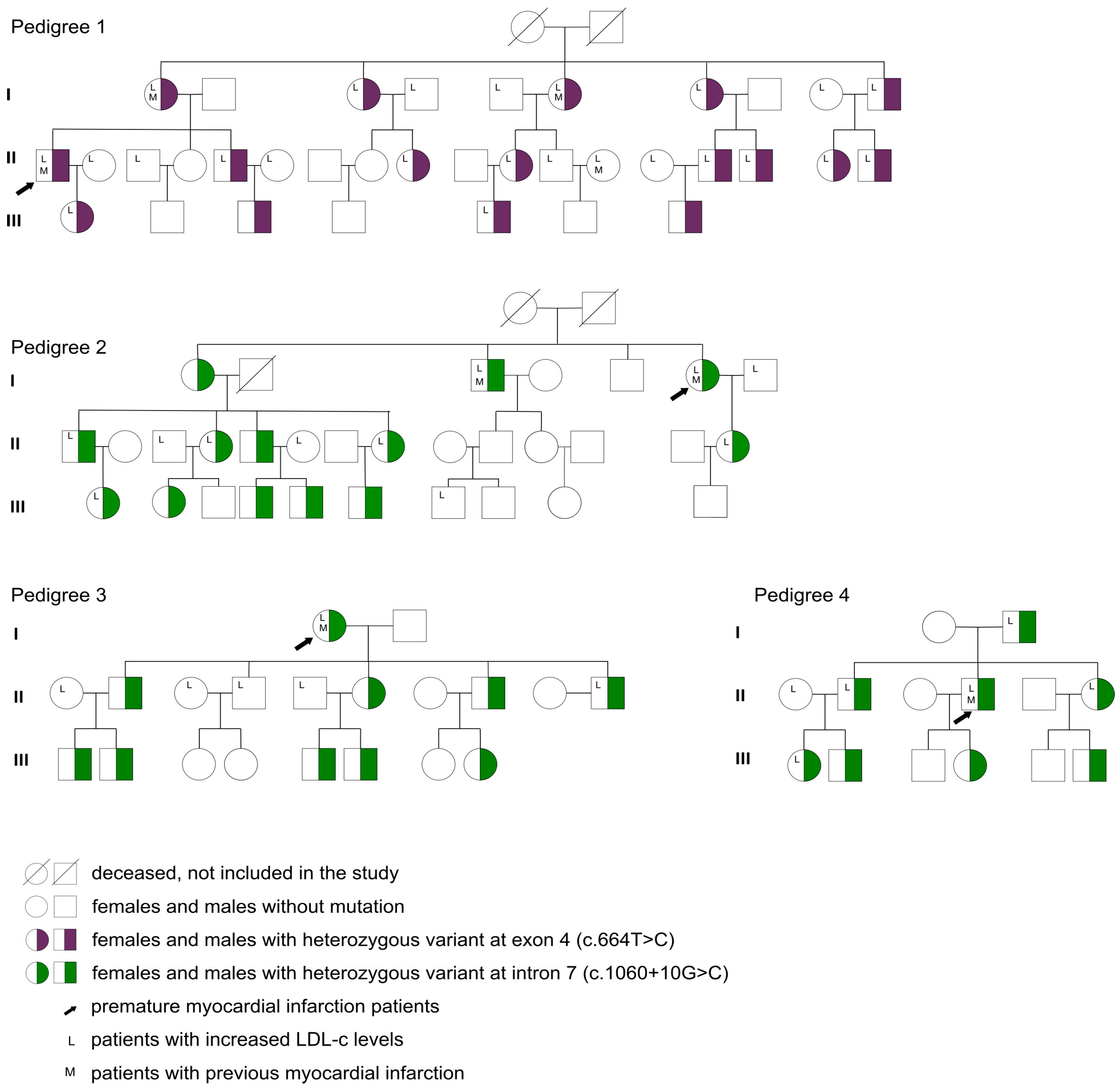 Jpm 13 01725 g002 Jpm 13 01725 g002