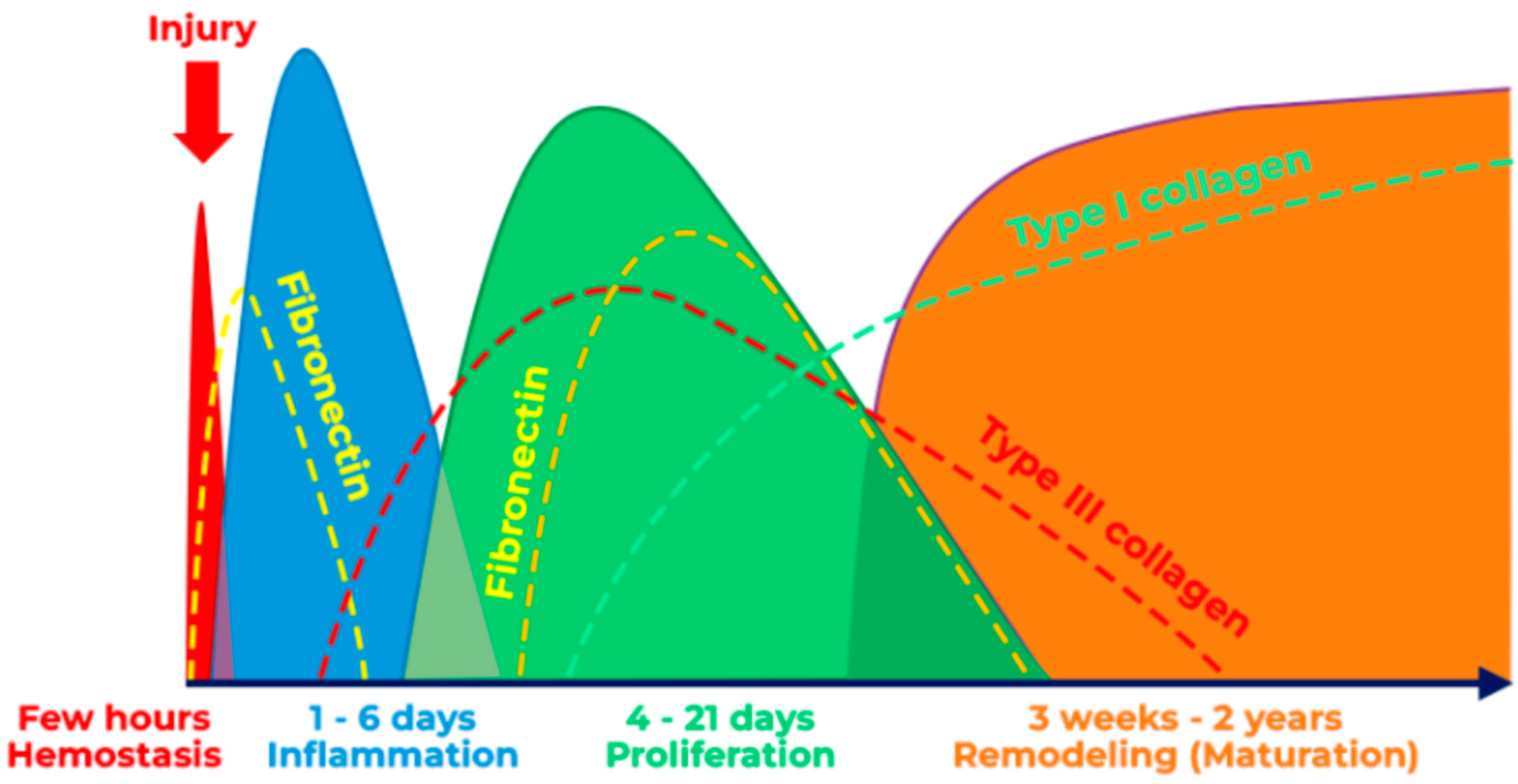 Jpm 14 00026 g008 Jpm 14 00026 g008
