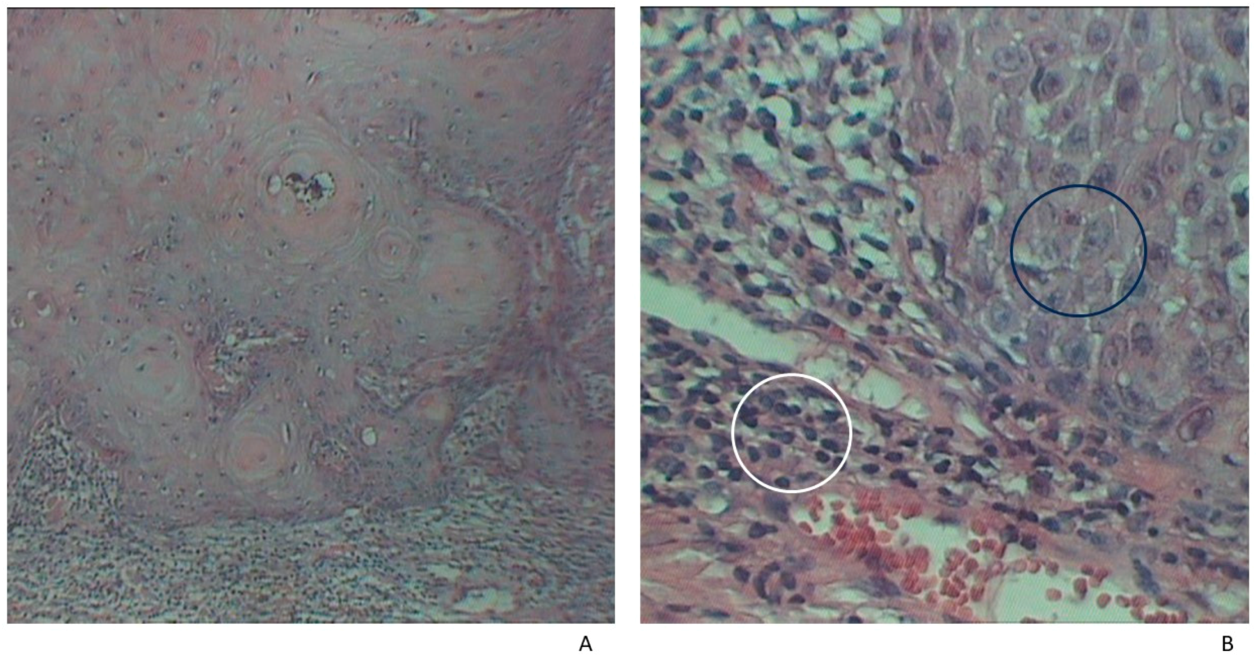 Jpm 14 00103 g001 Jpm 14 00103 g001