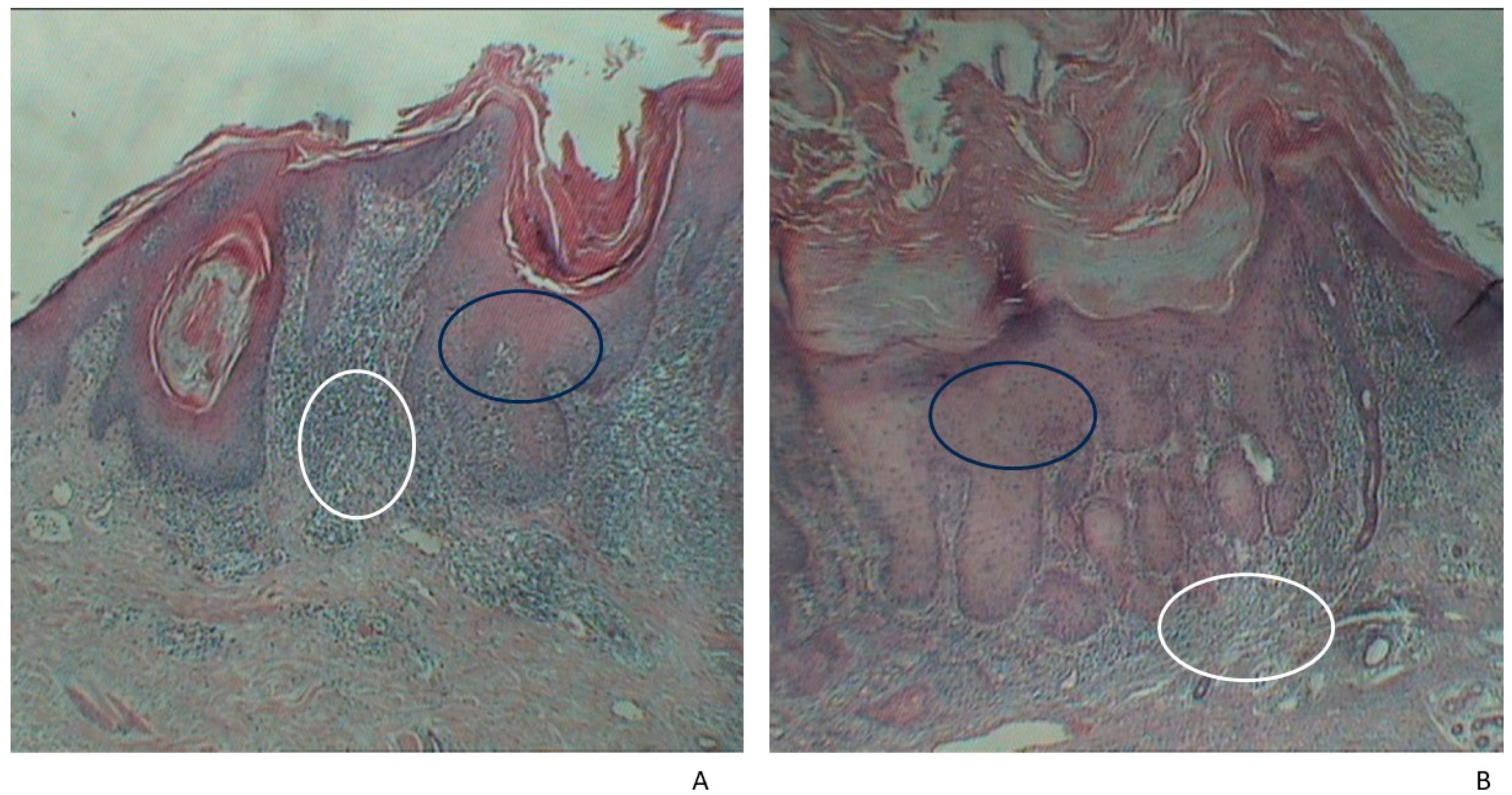 Jpm 14 00103 g002 Jpm 14 00103 g002