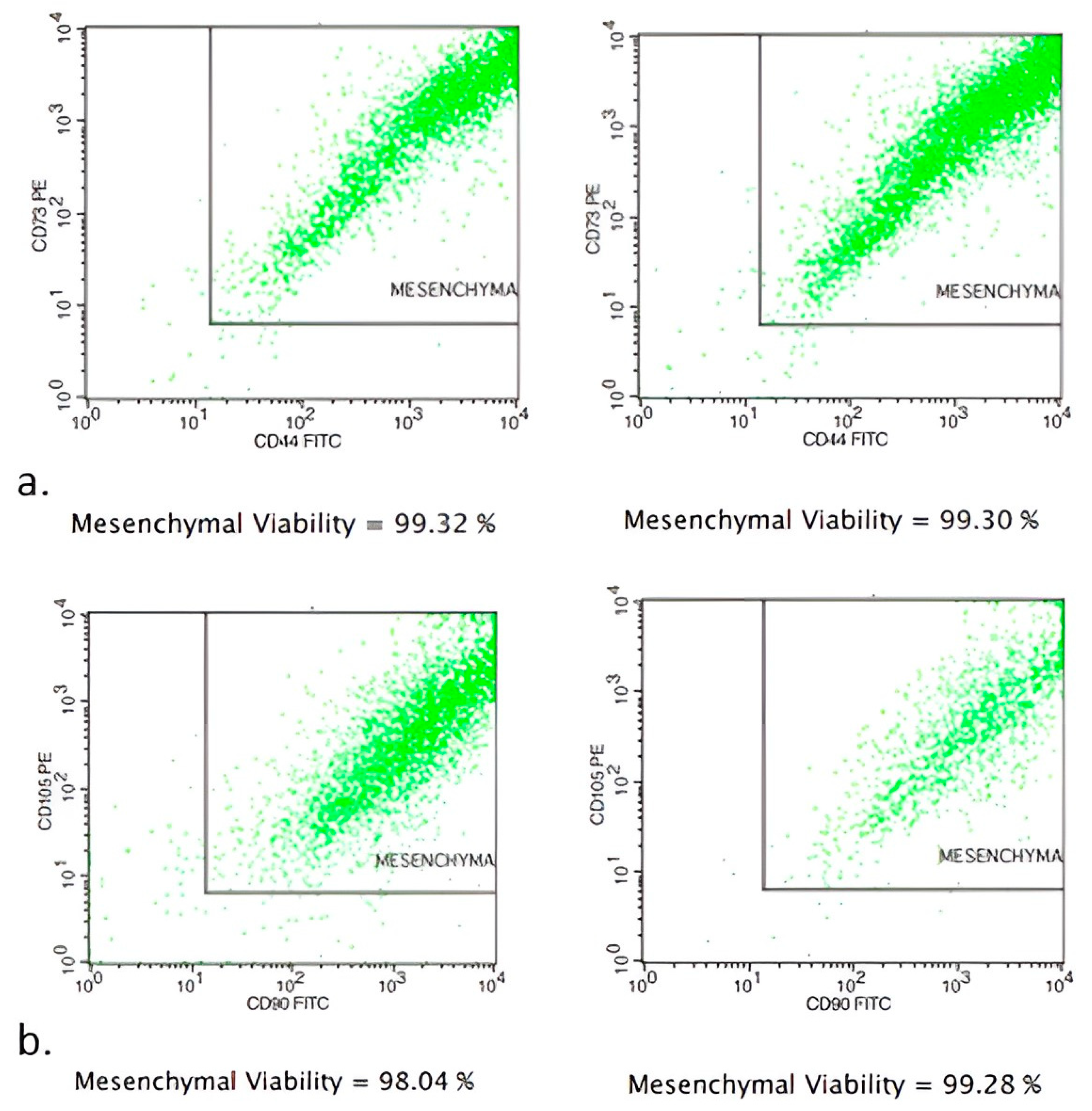 Jpm 14 00121 g001 Jpm 14 00121 g001
