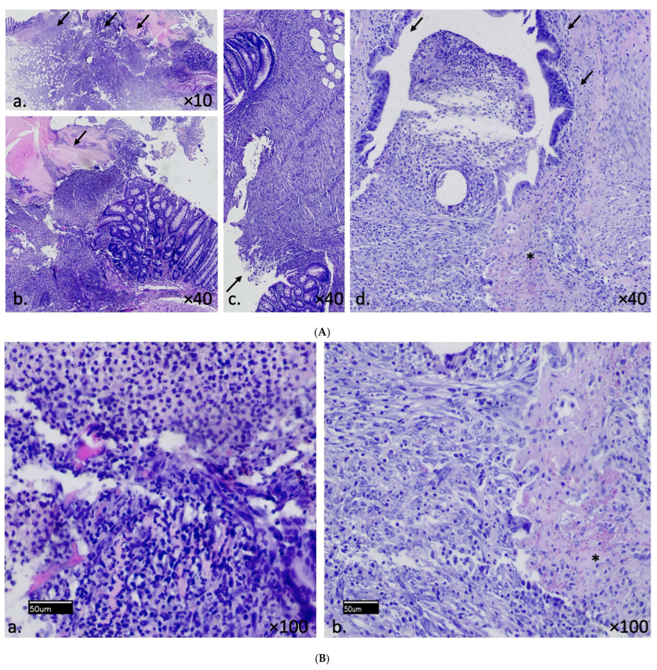 Jpm 14 00121 g007 Jpm 14 00121 g007