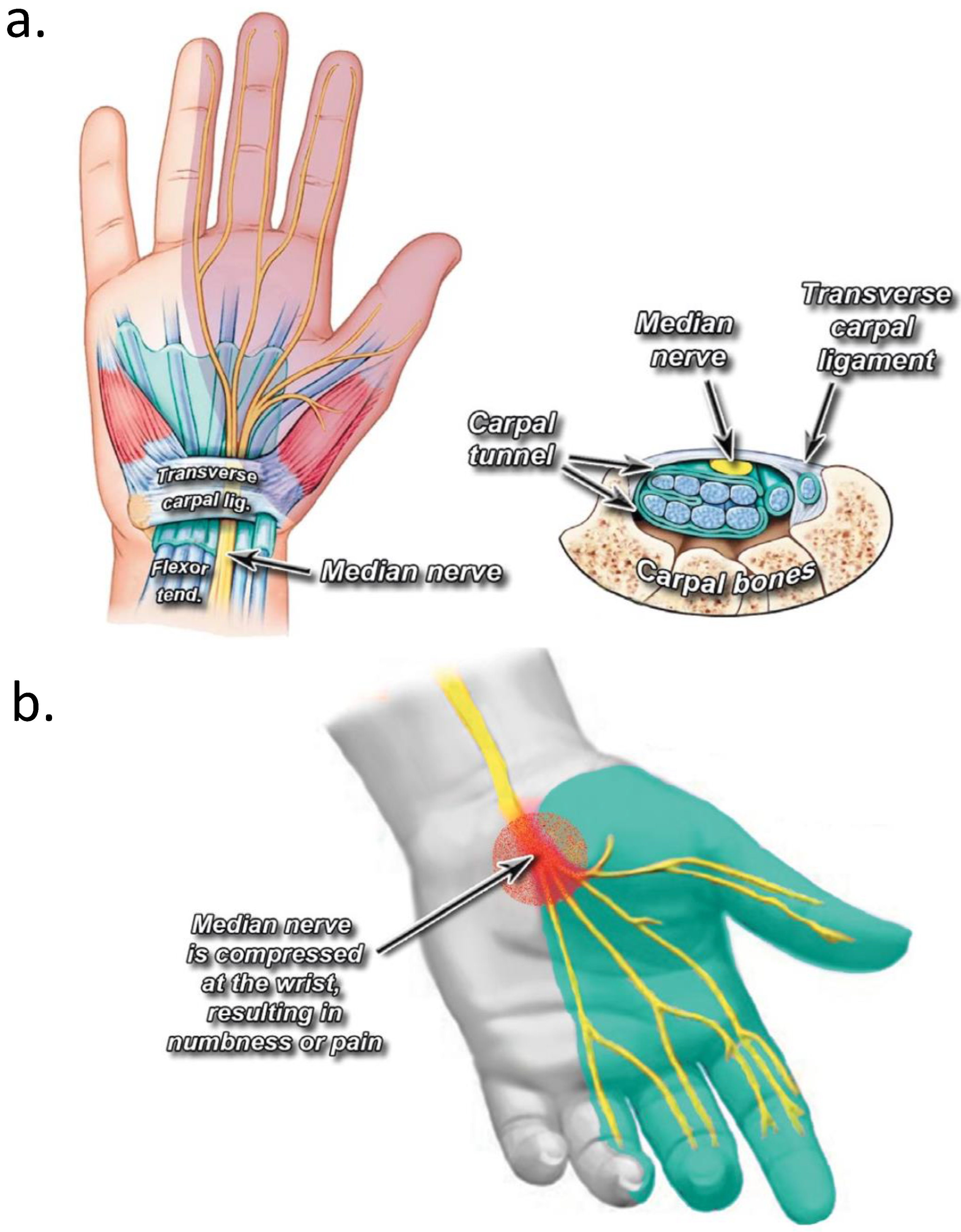 https://www.mdpi.com/jpm/jpm-14-00154/article_deploy/html/images/jpm-14-00154-g001.png