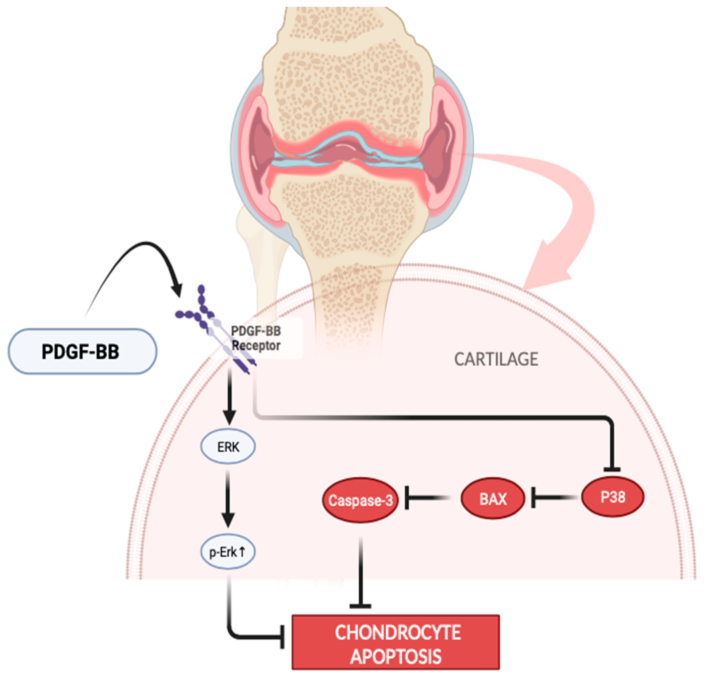 Jpm 14 00183 g005 Jpm 14 00183 g005