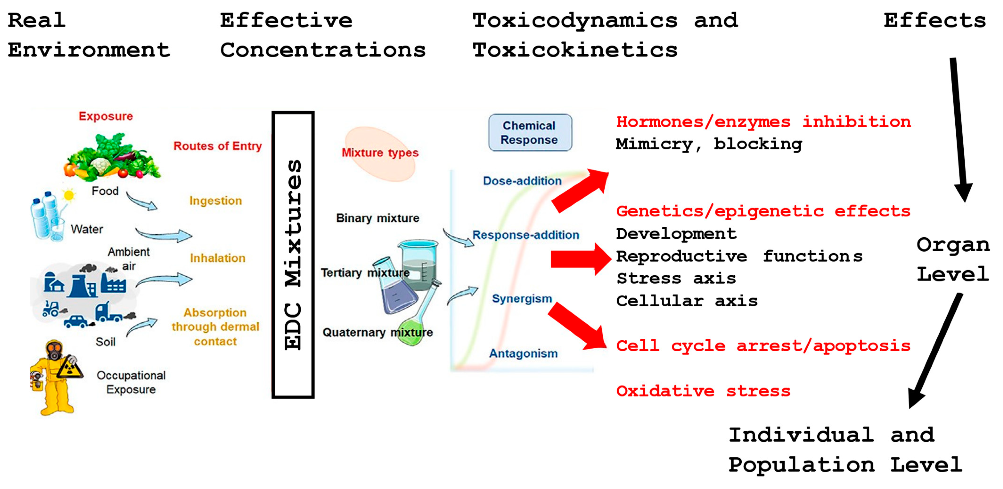Jpm 14 00198 g002 Jpm 14 00198 g002