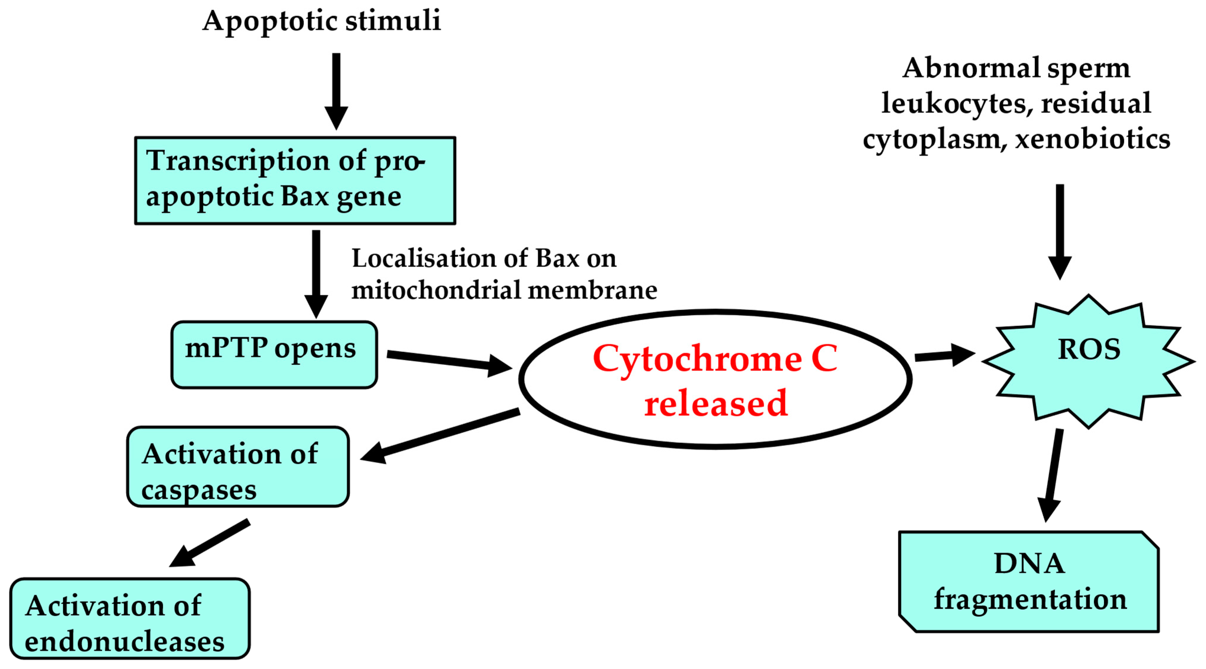 Jpm 14 00198 g003 Jpm 14 00198 g003