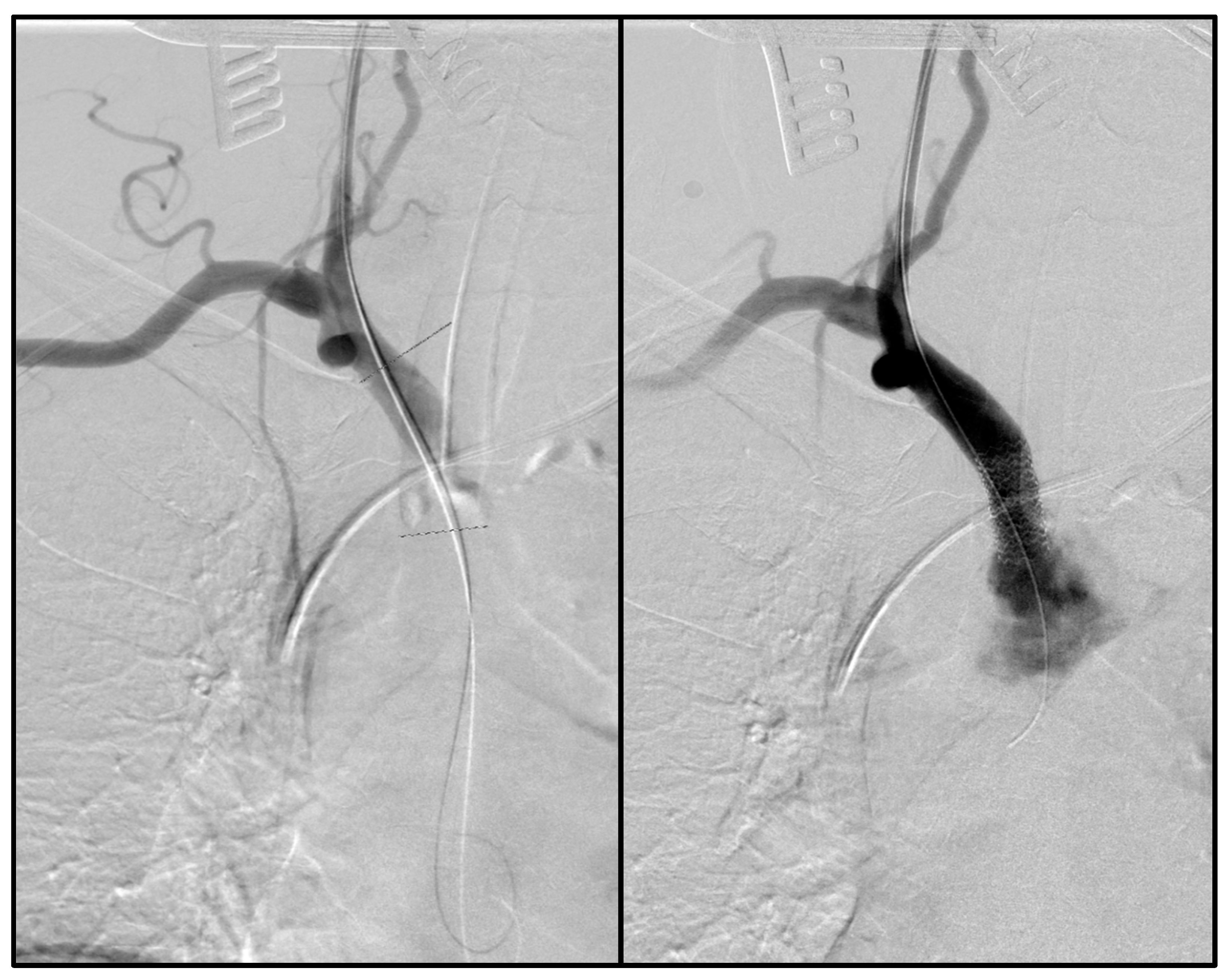 Jpm 14 00223 g001 Jpm 14 00223 g001