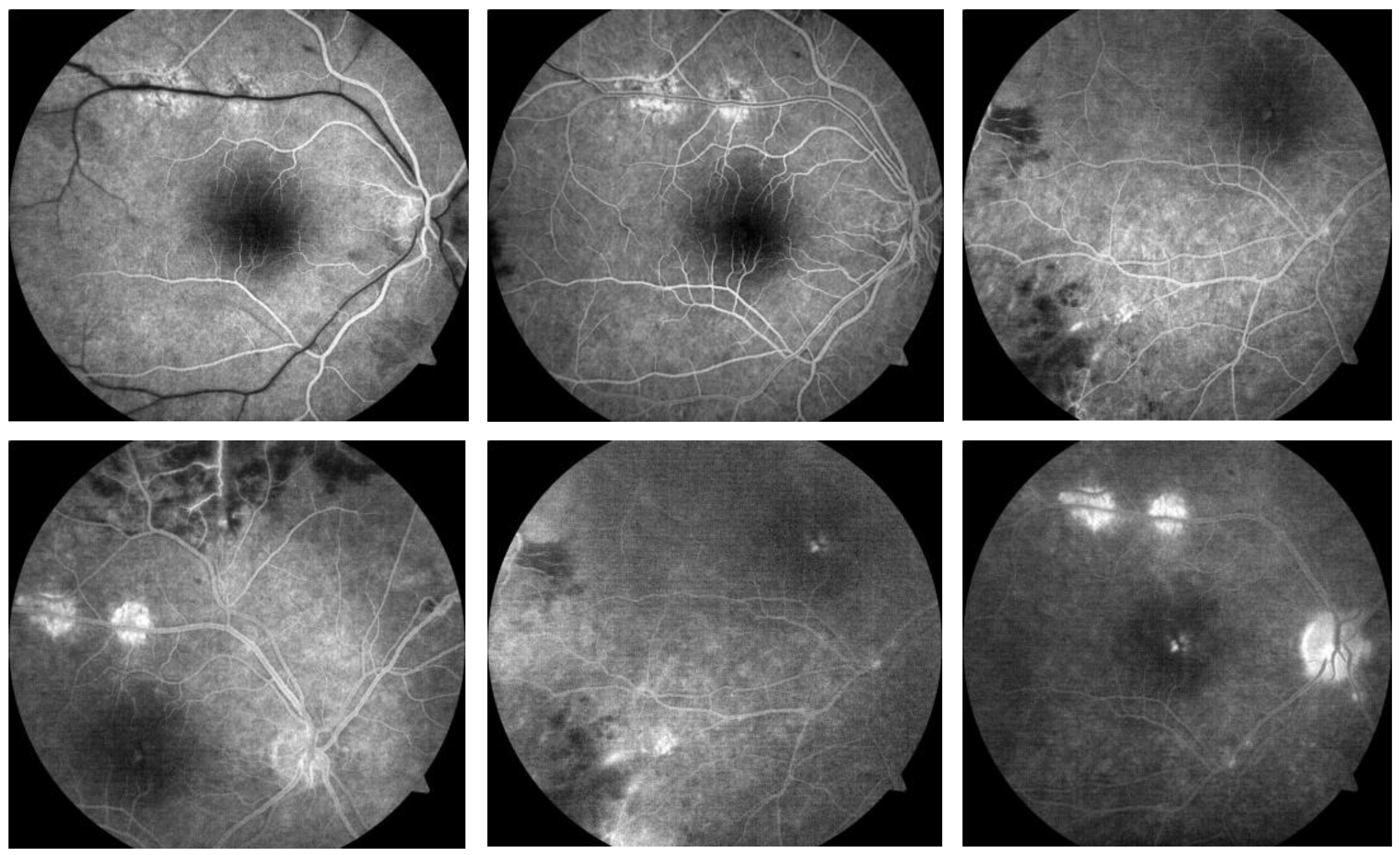 Jpm 14 00235 g003 Jpm 14 00235 g003