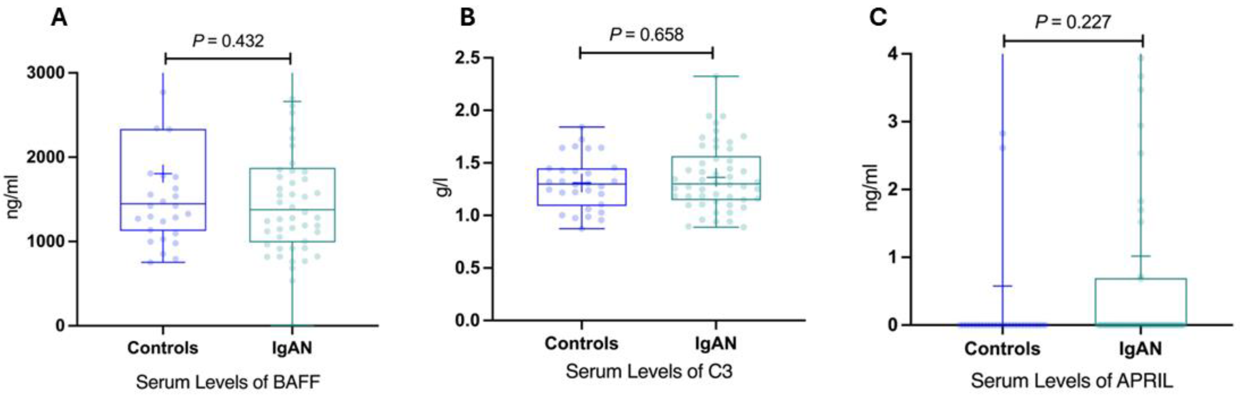 Jpm 14 00269 g004 Jpm 14 00269 g004