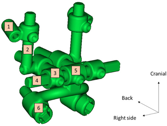 Assessment of a New Medical Device (PirifixTM) for