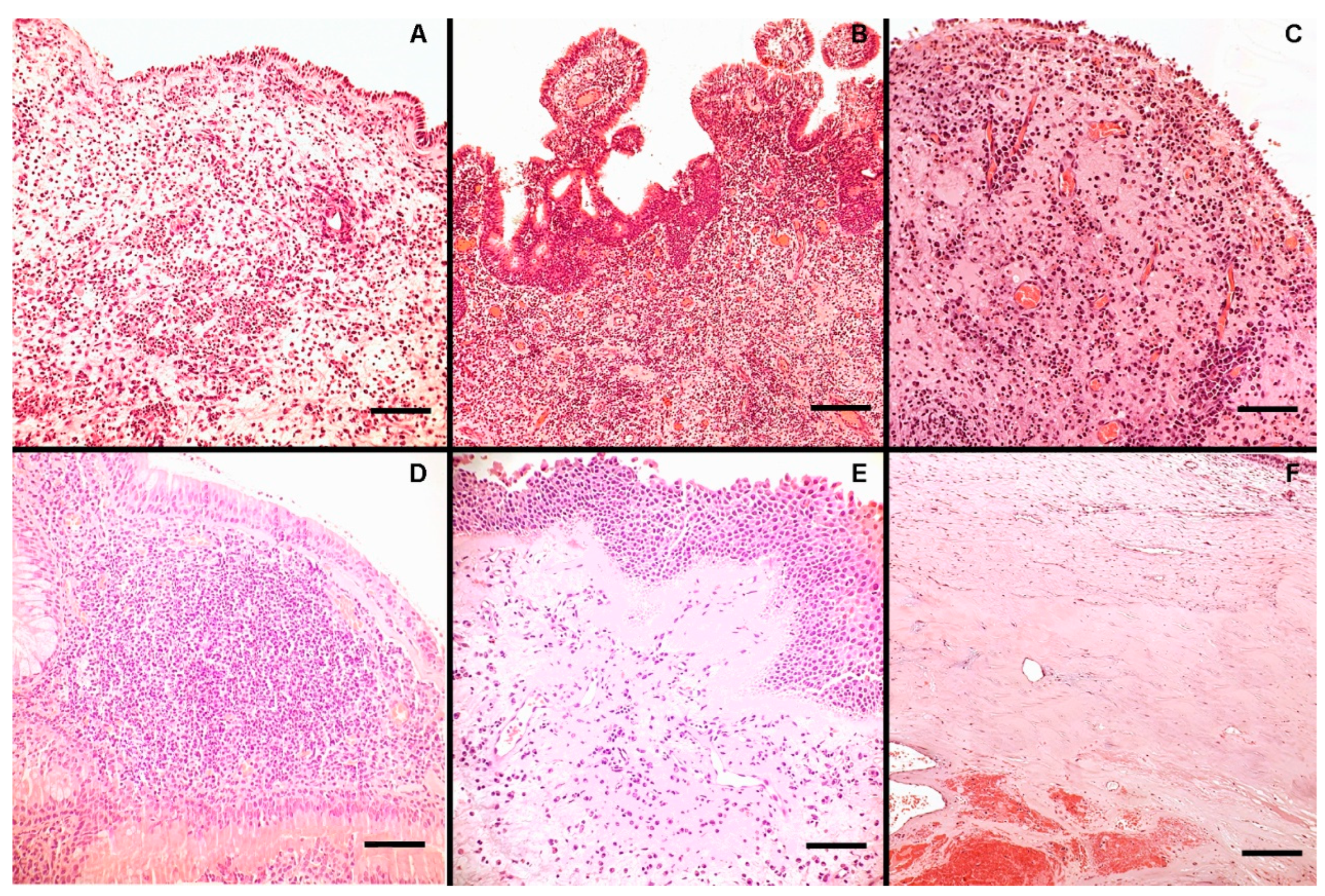 Jpm 14 00414 g001 Jpm 14 00414 g001