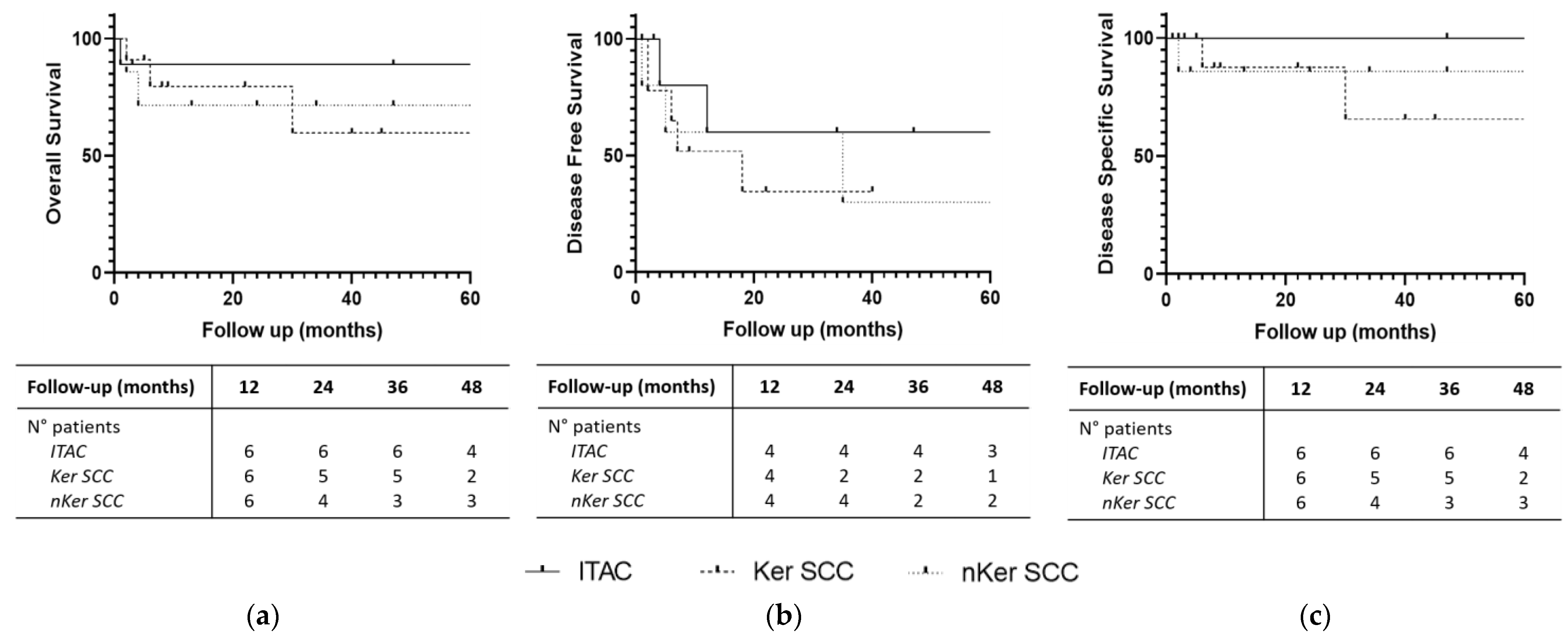 Jpm 14 00444 g003 Jpm 14 00444 g003