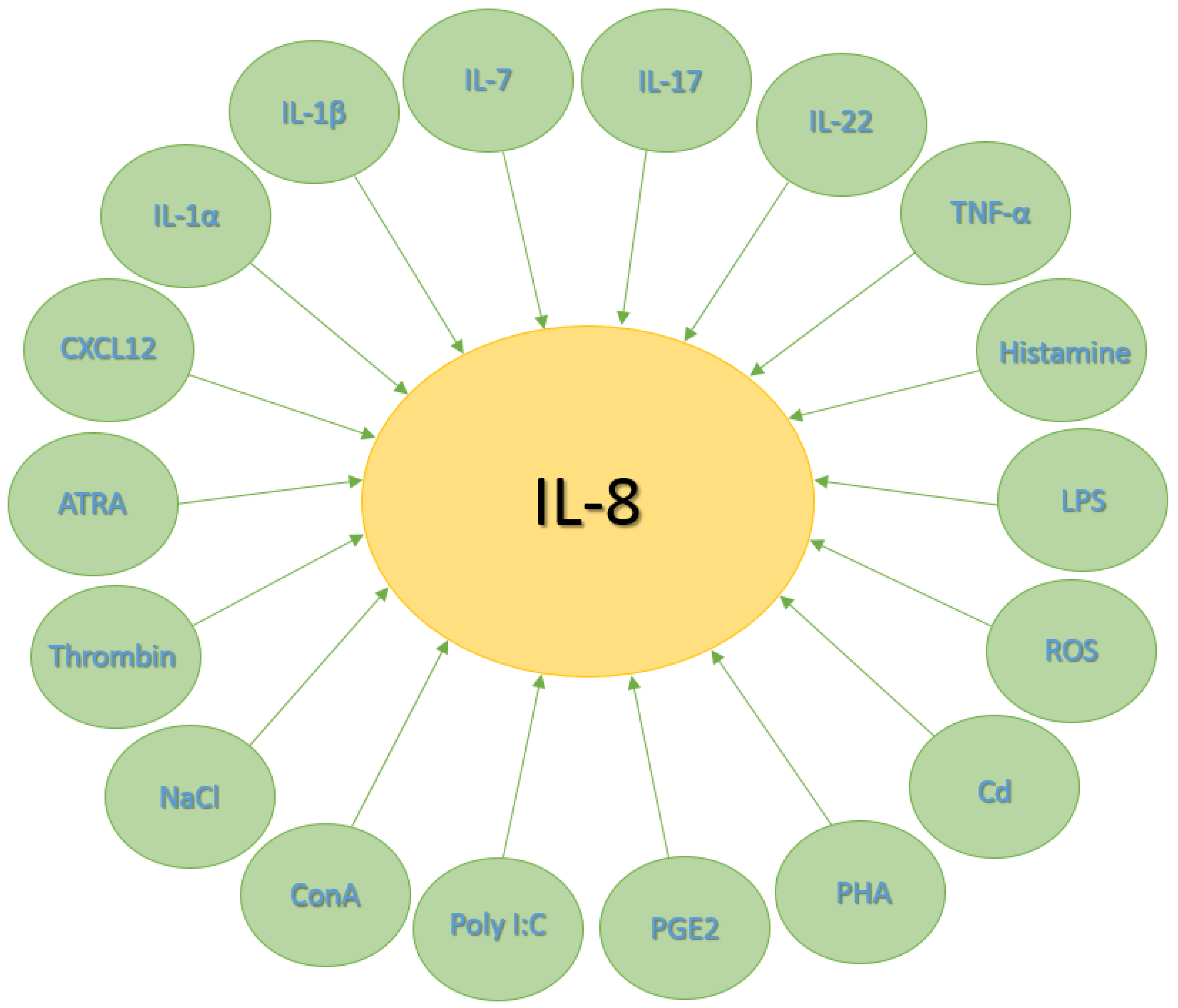 Jpm 14 00488 g001 Jpm 14 00488 g001
