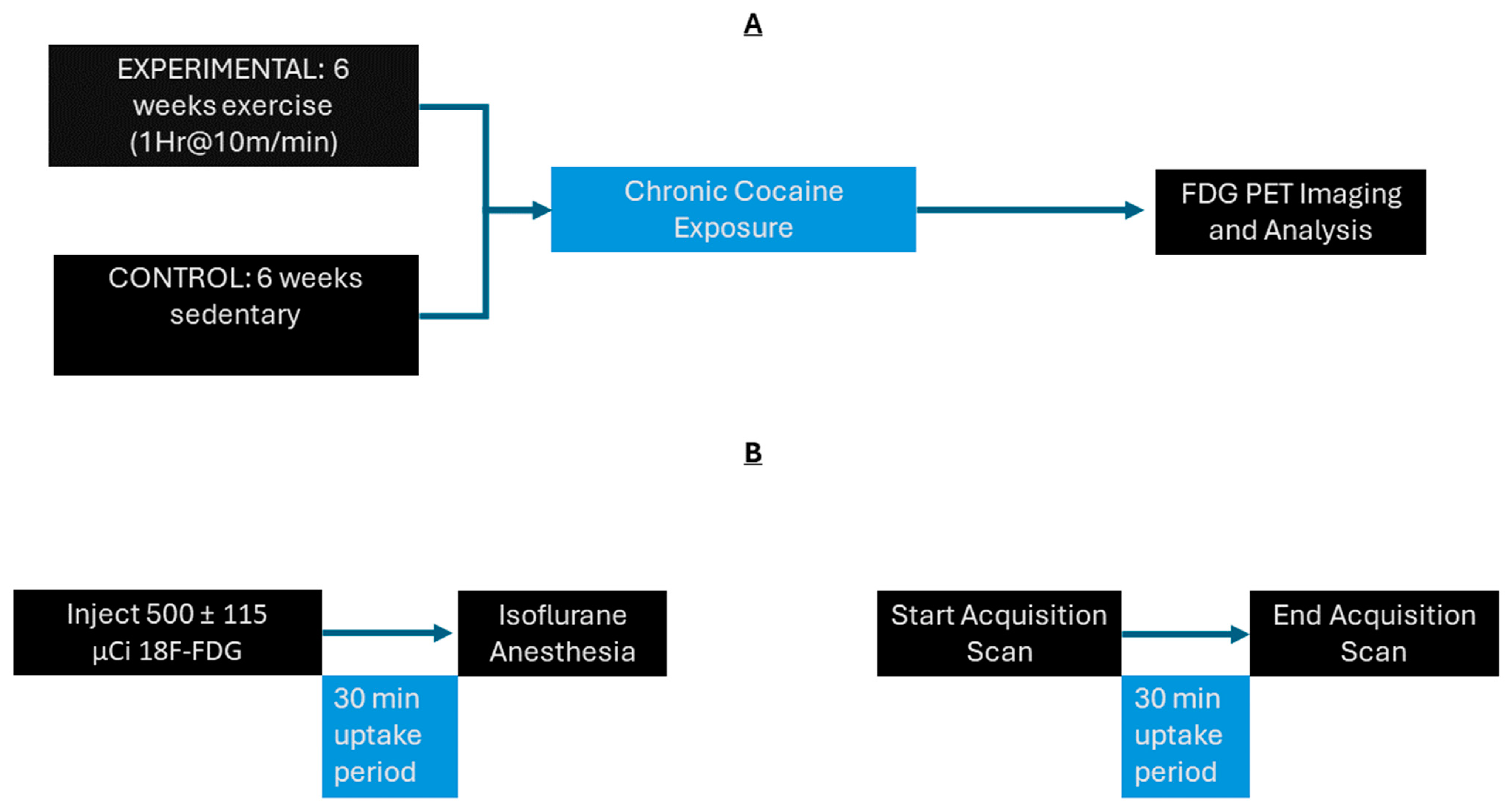 Jpm 14 00500 g001 Jpm 14 00500 g001
