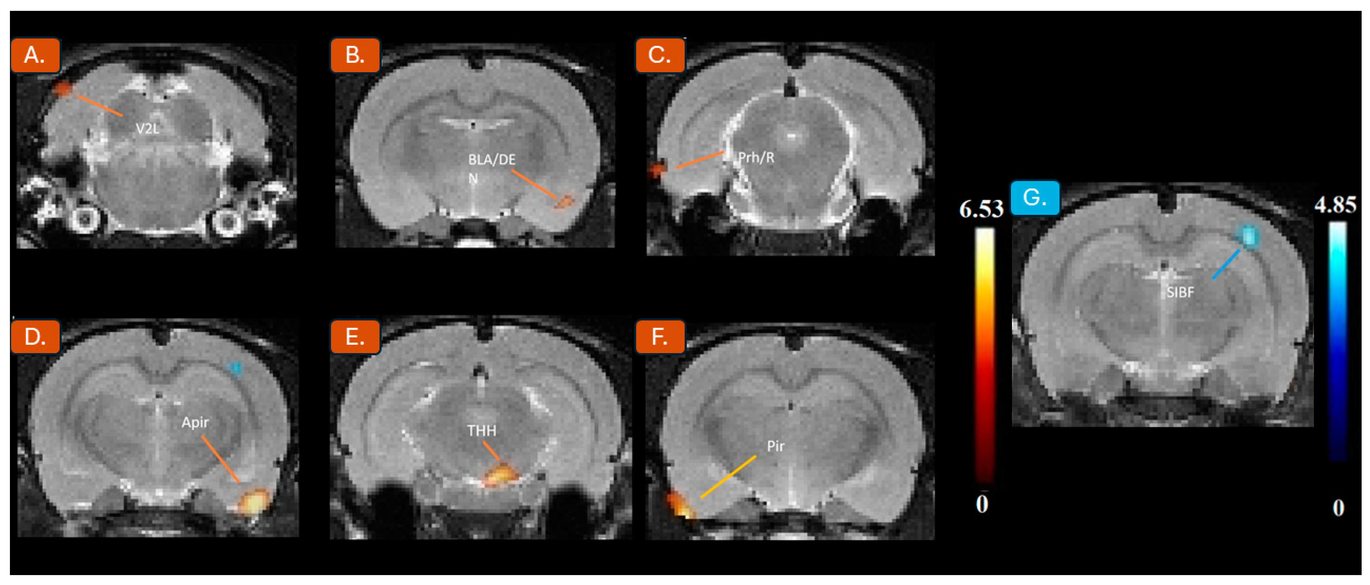 Jpm 14 00500 g002 Jpm 14 00500 g002