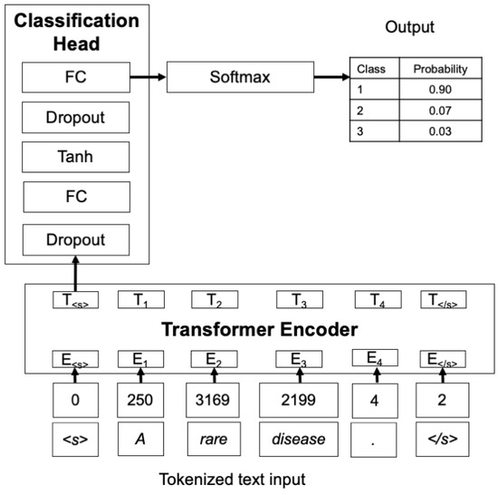Automatic Classification and Visualization of Text Data on Rare Diseases