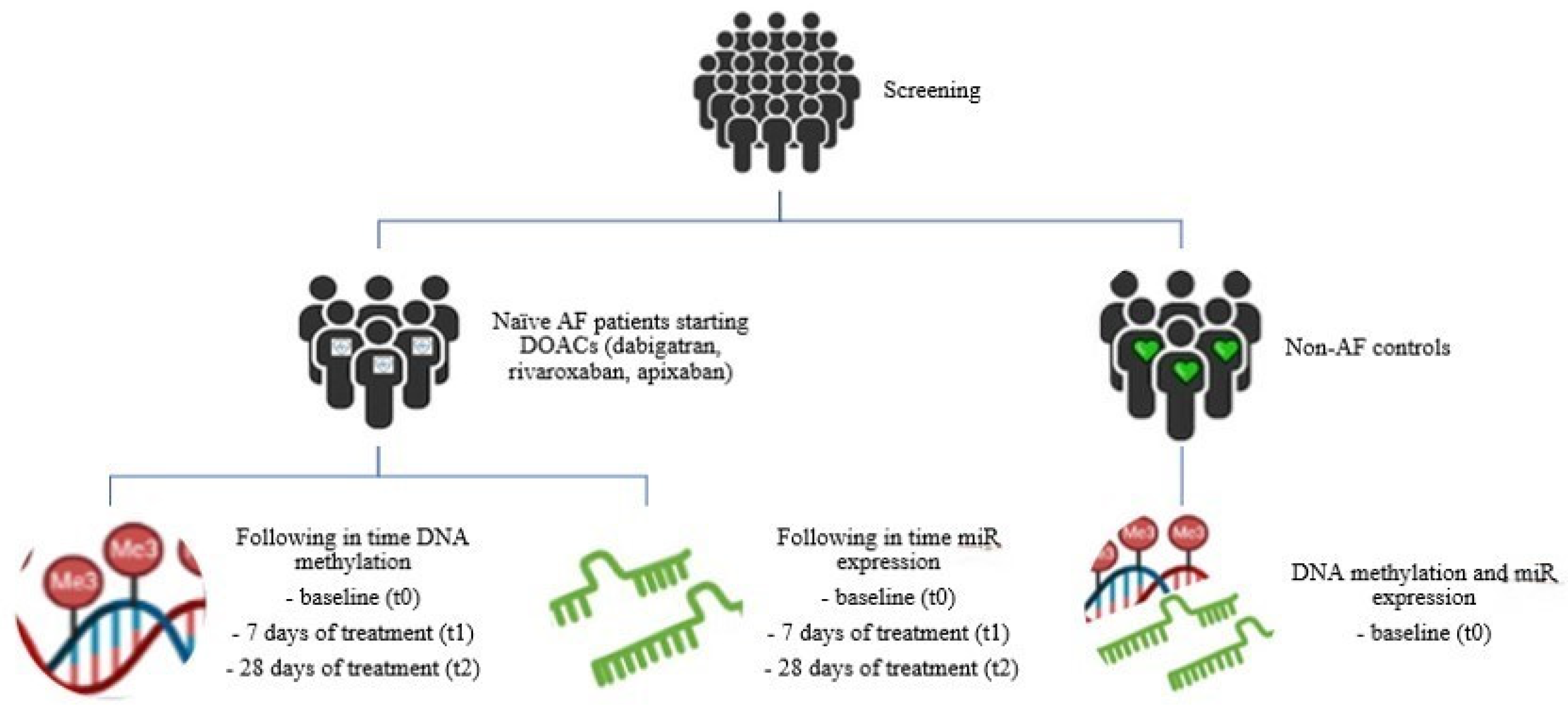 Jpm 14 00562 g001 Jpm 14 00562 g001